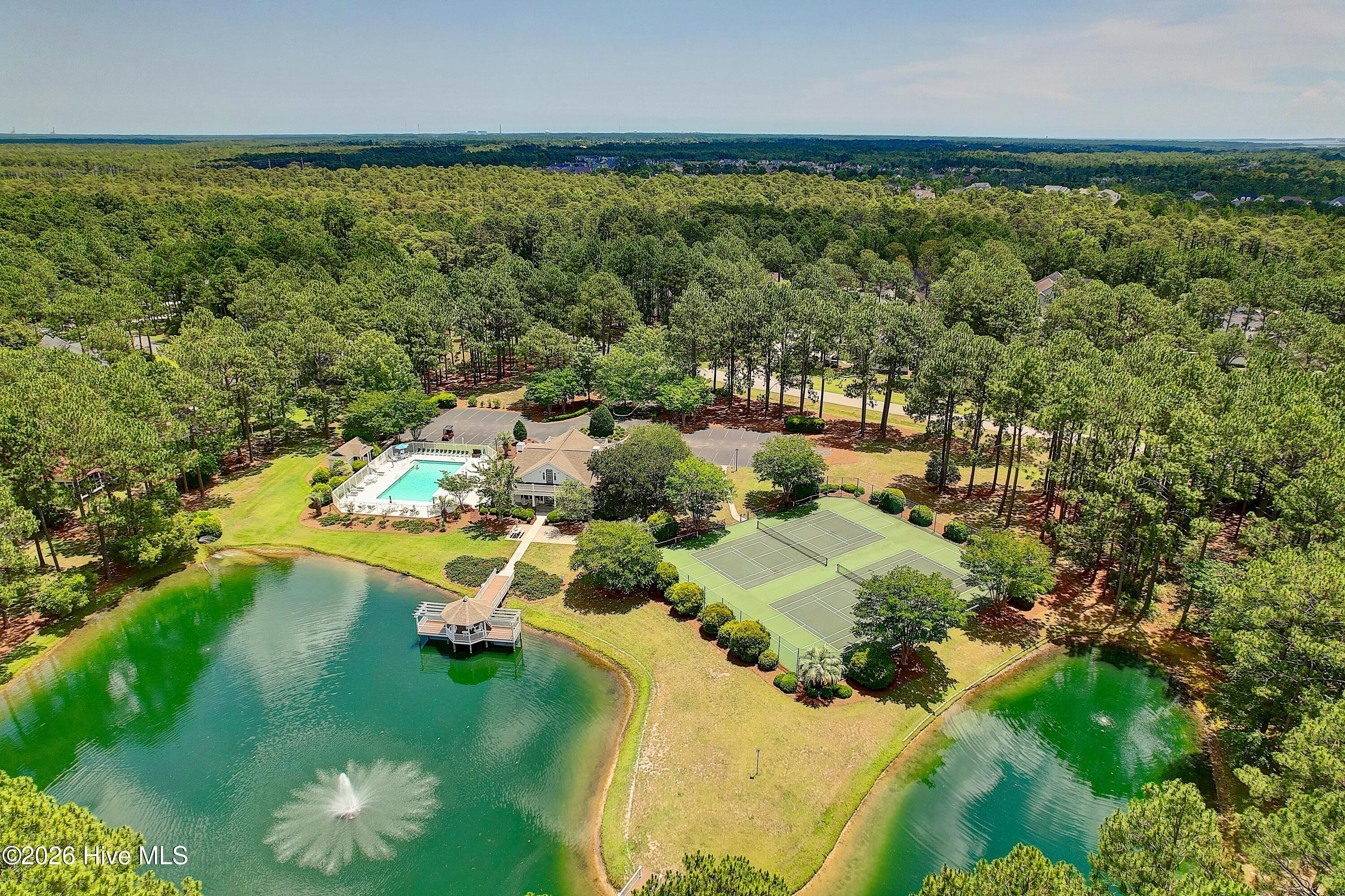 100559952 | Photo 62