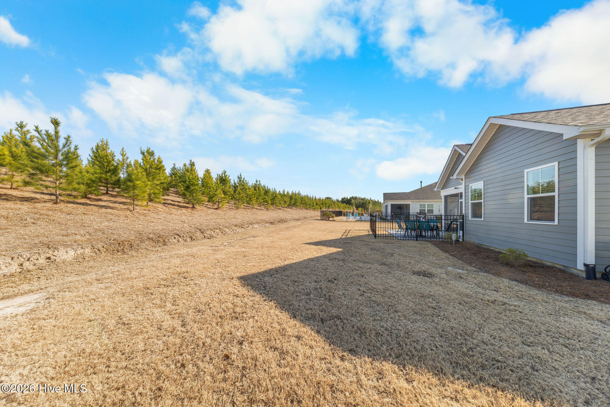 100554003 | Photo 45