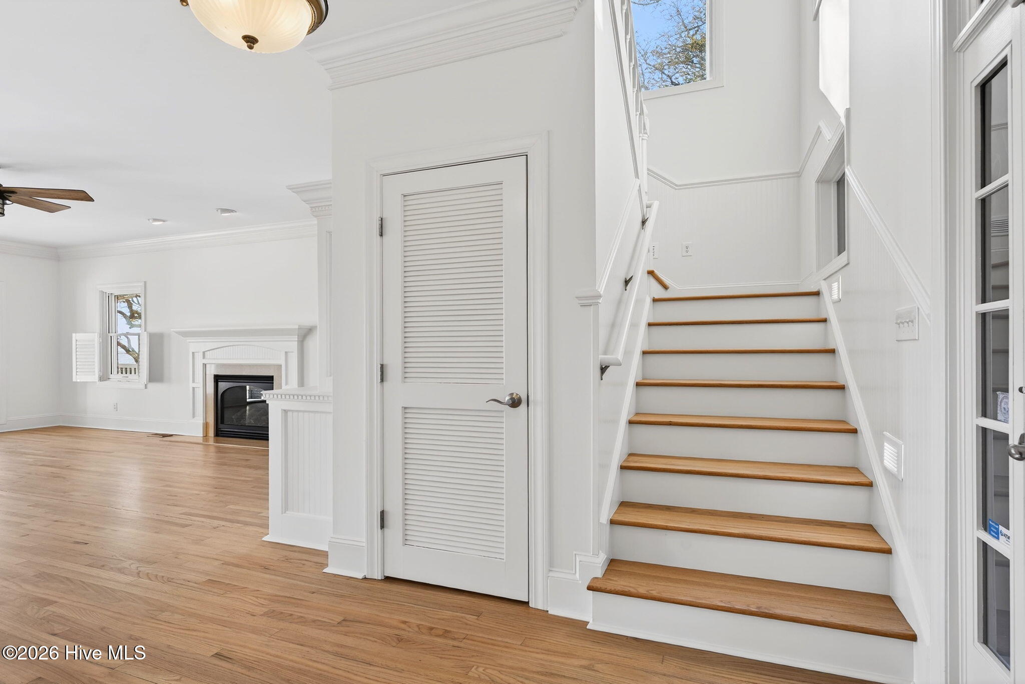 100555125 | Photo 27