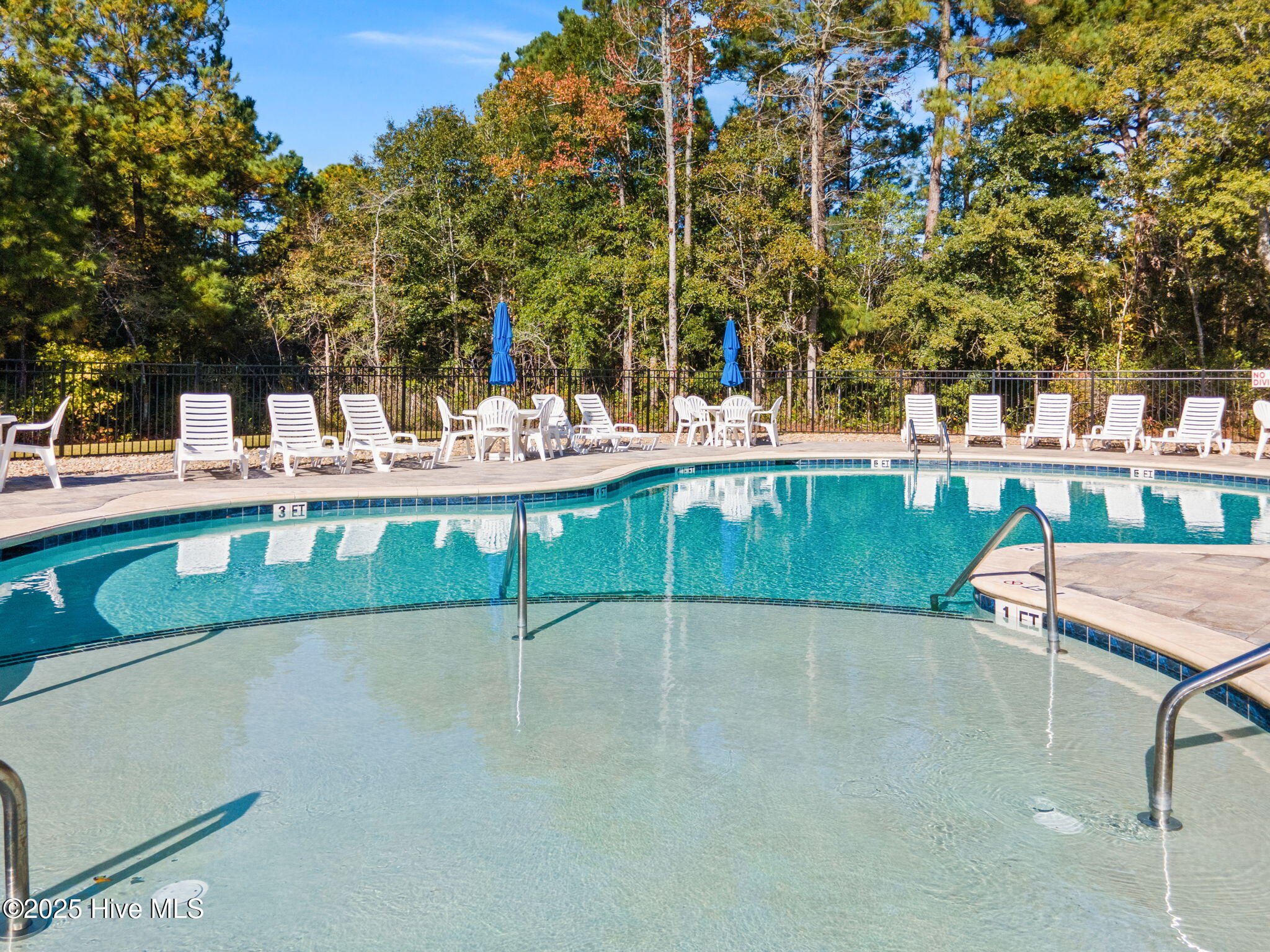 100545936 | Photo 45