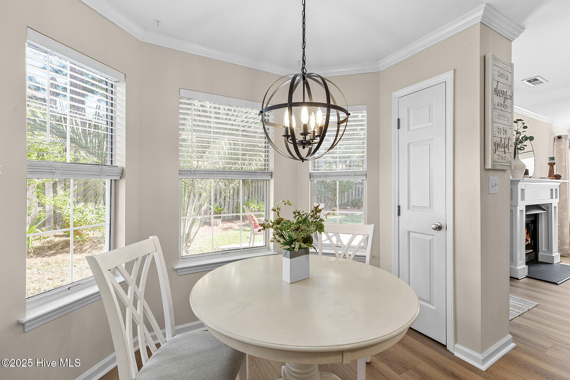 5314 Ivocet Drive, Wilmington, NC 28409 – photo 13: Ivocet5314-5knkMyraL33A8134-CR2fire