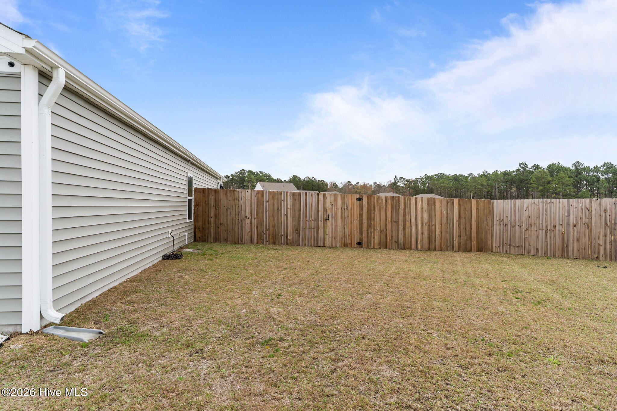 100558929 | Photo 49