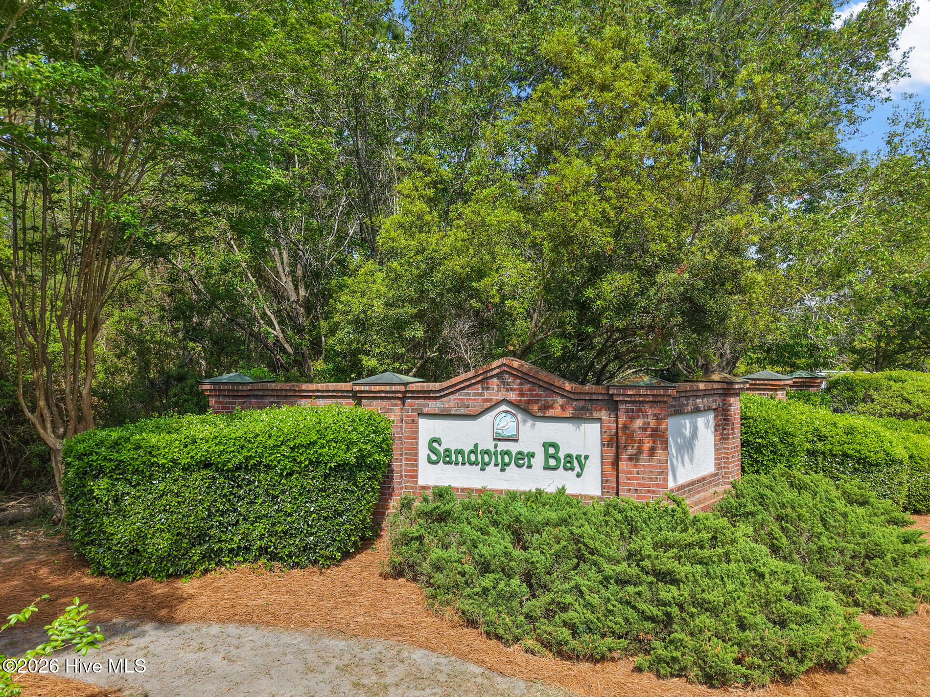 100566917 | Photo 47