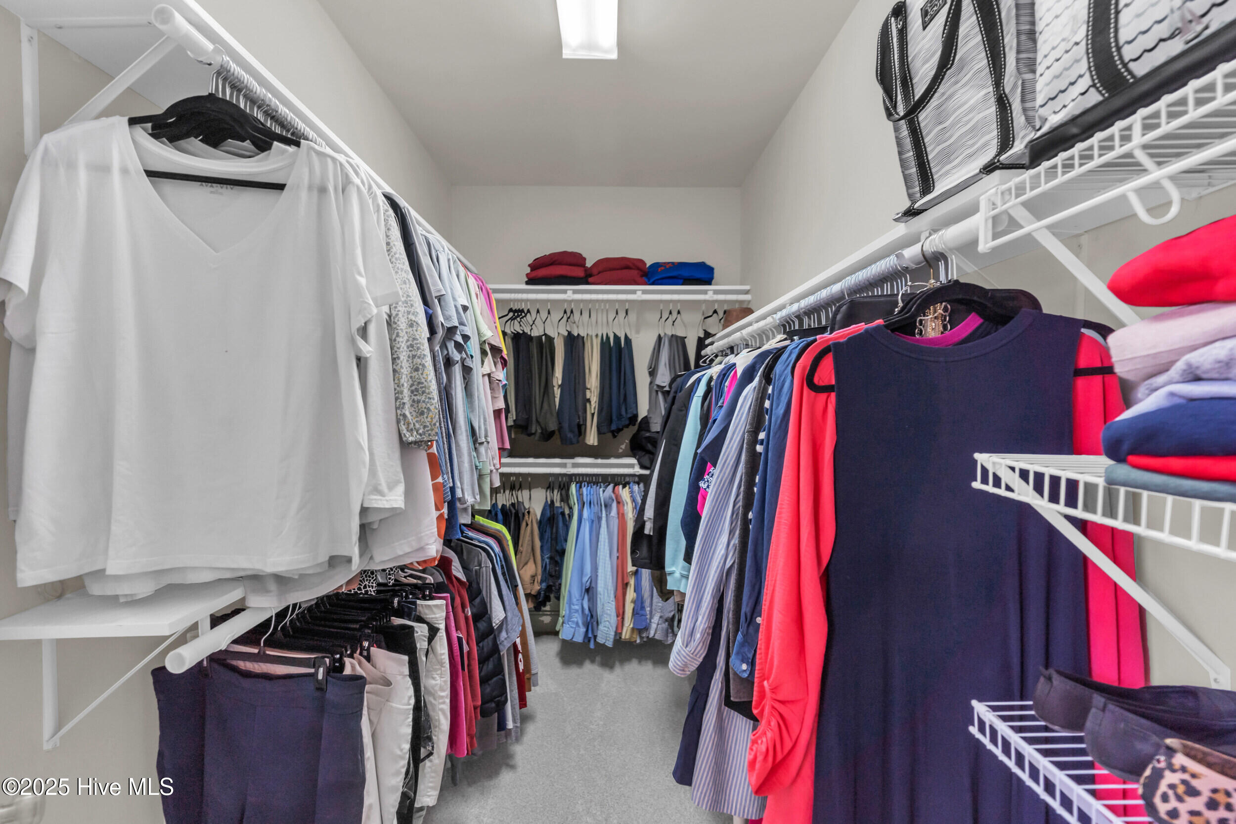 100543526 | Photo 19