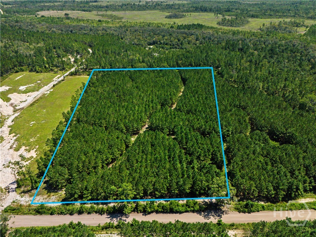 Photo 1 of Land for sale at Lot 1 O Ml Branch Clb Rd, Pembroke, GA 31321 | MLS# SA364011 | Listing updated on 2026-10-17