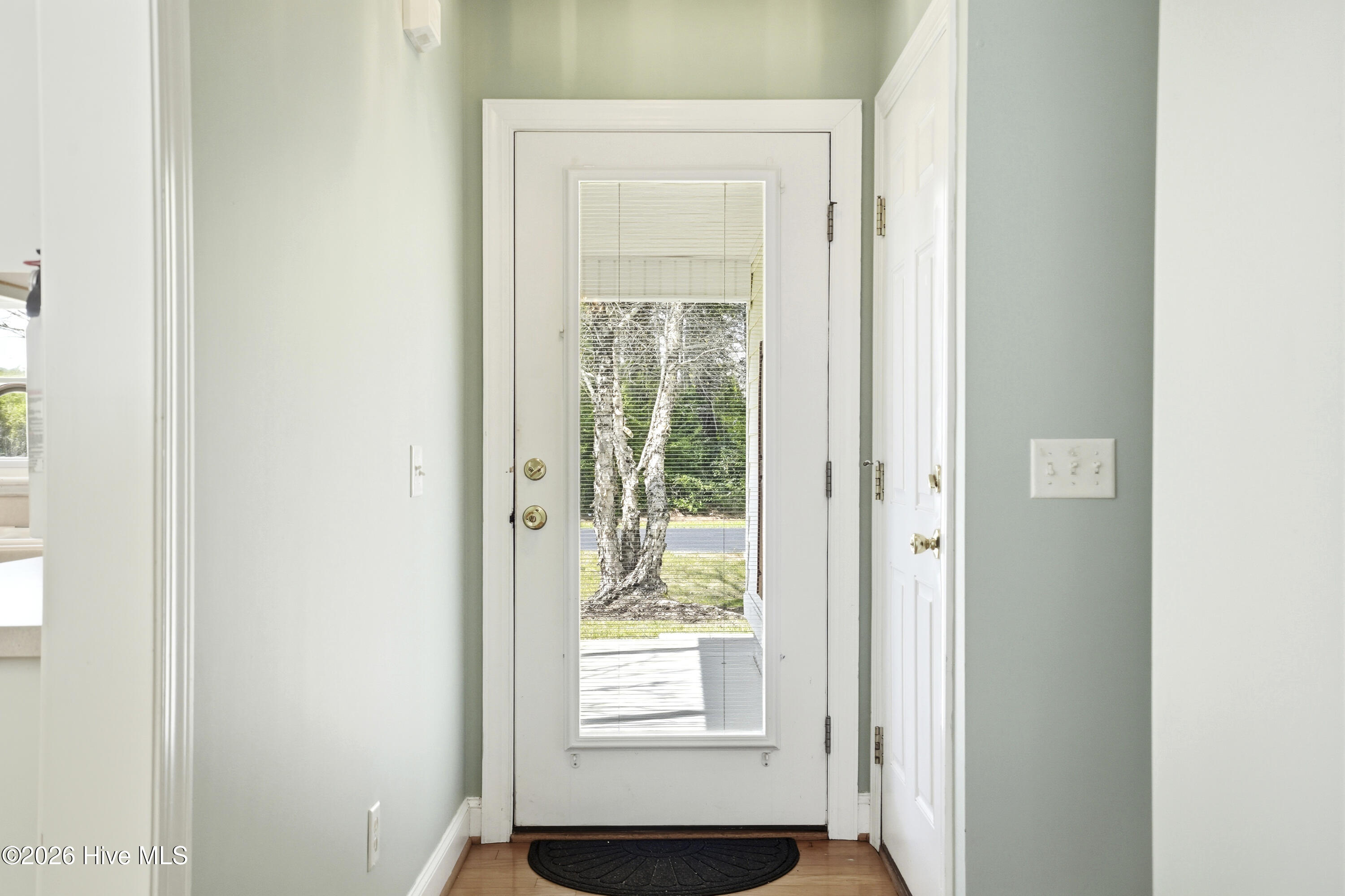 100562955 | Photo 18