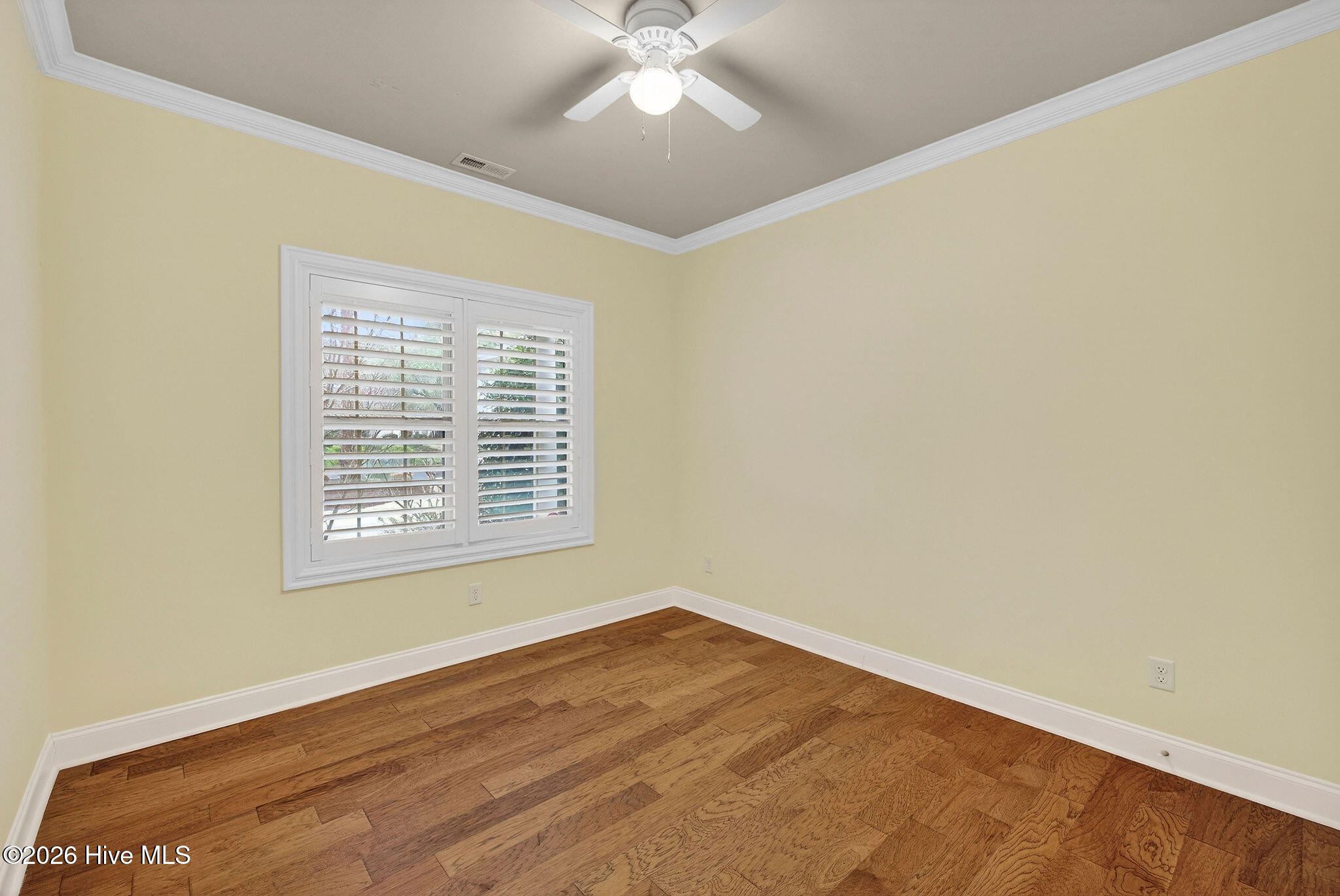 100557341 | Photo 27