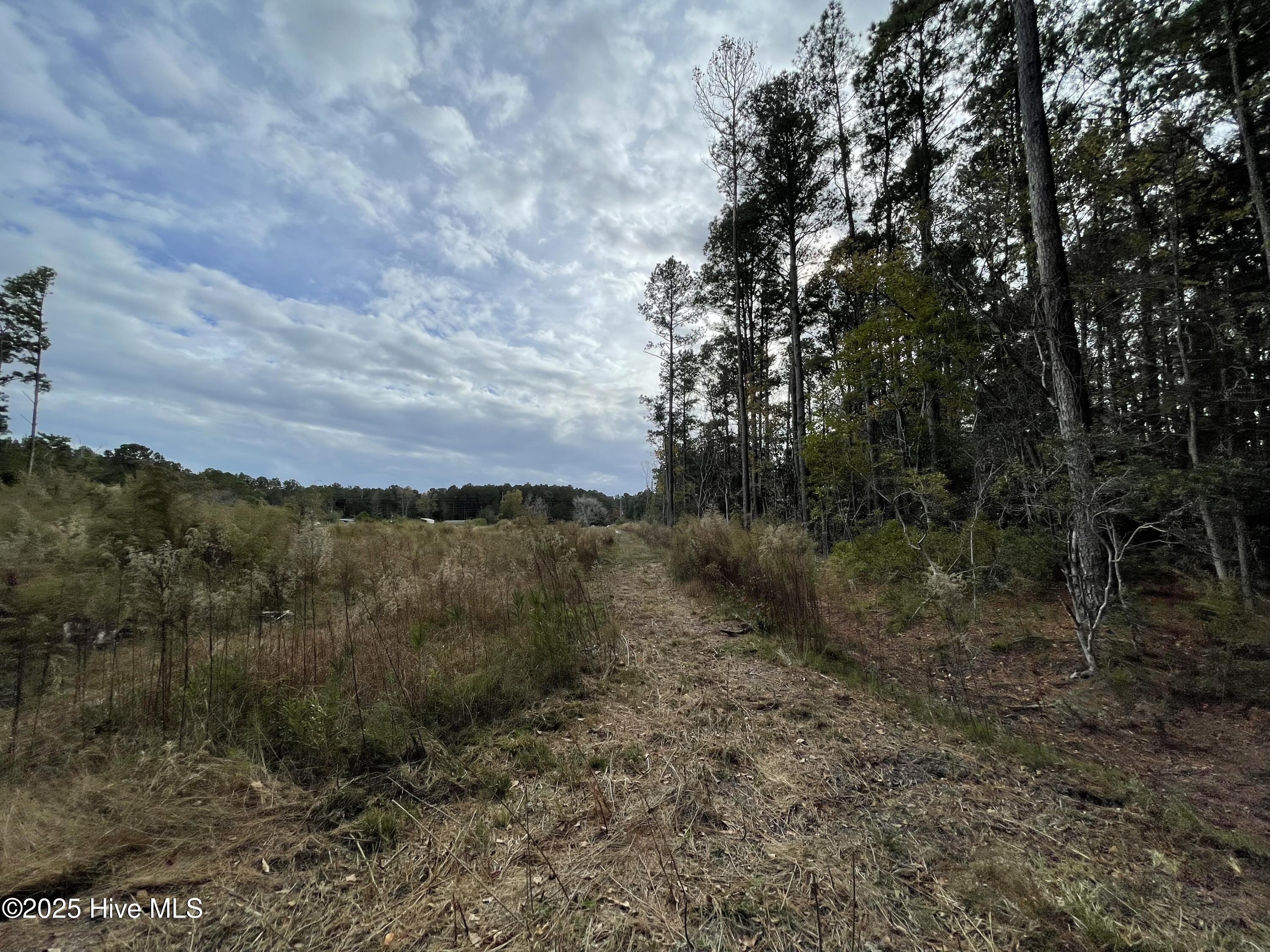 100496584 | Photo 20