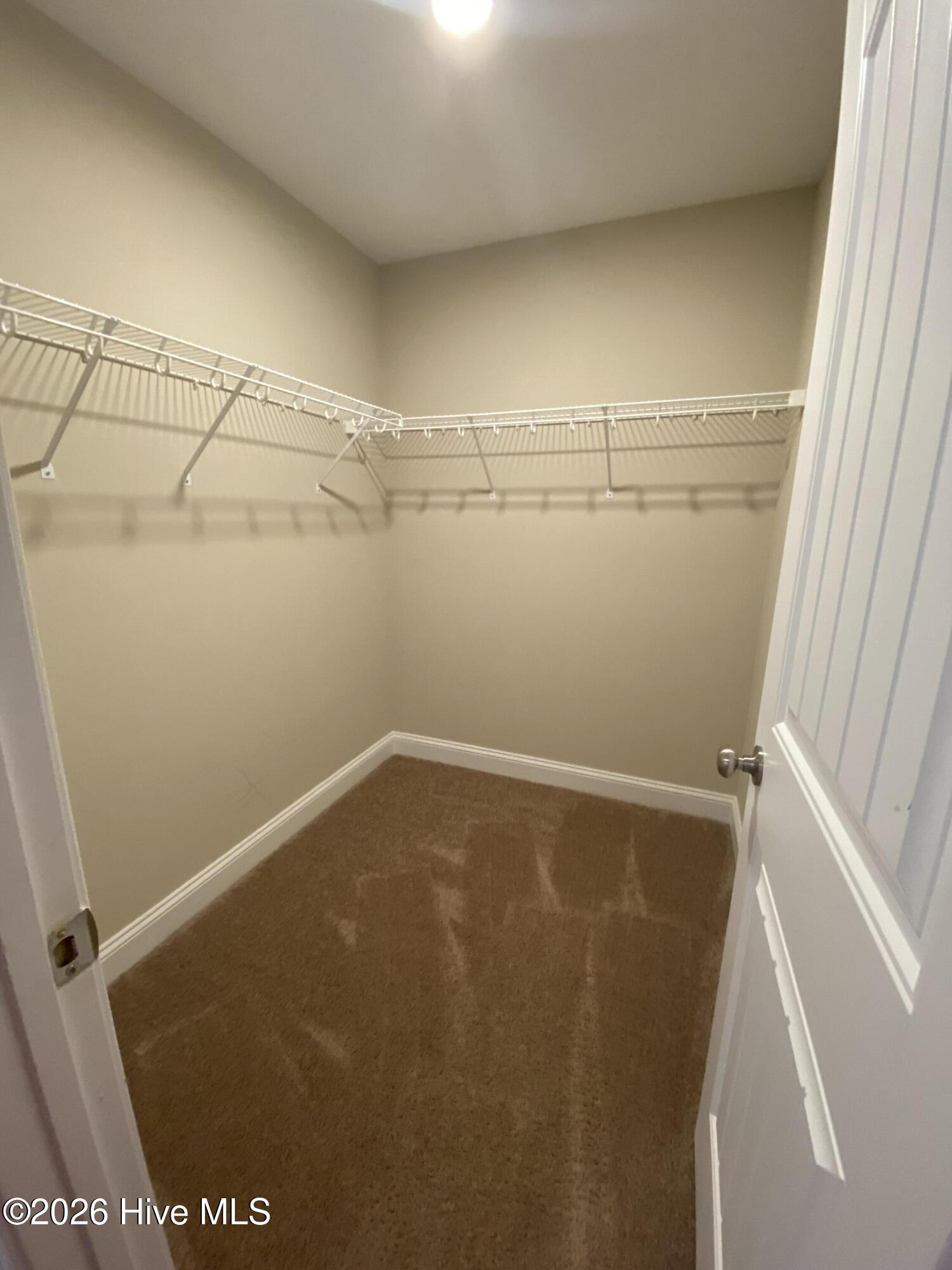 100567028 | Photo 23