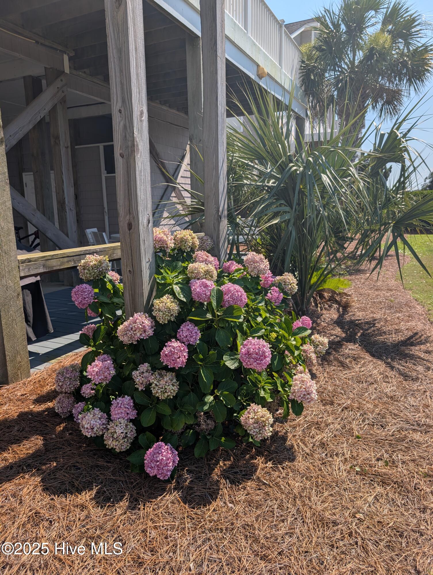 100515123 | Photo 11