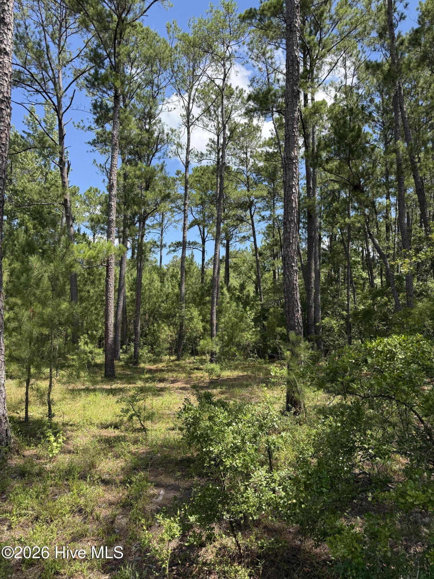 Homes for sale in Elizabethtown, NC | 532 Old Hoover Bridge Rd, Elizabethtown, NC 28337 | MLS# 100589365