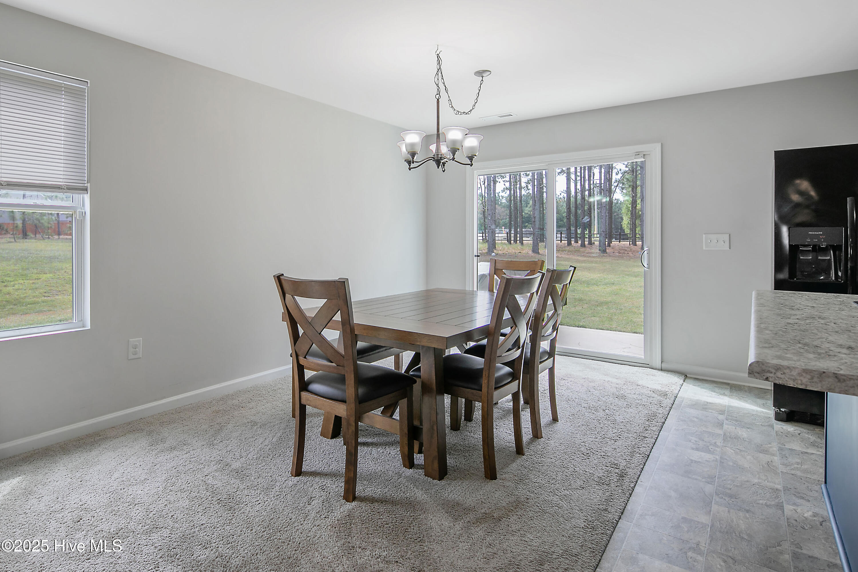 13-175DesertOrchidCir,Raeford