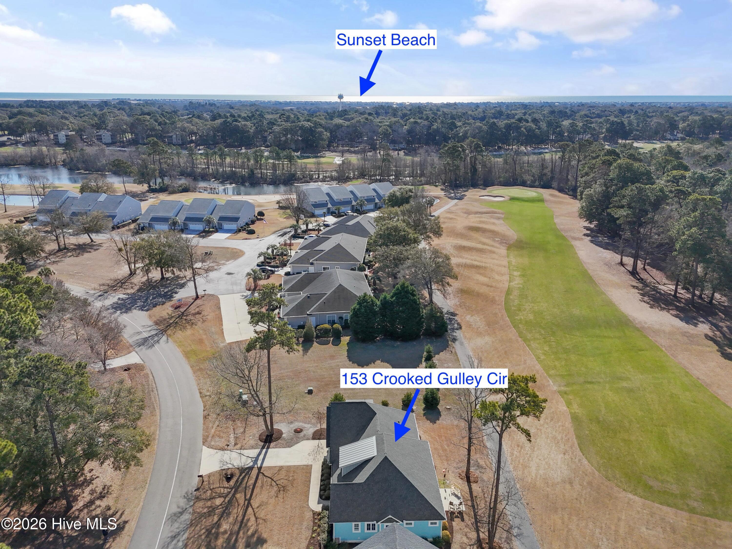 100552502 | Photo 12