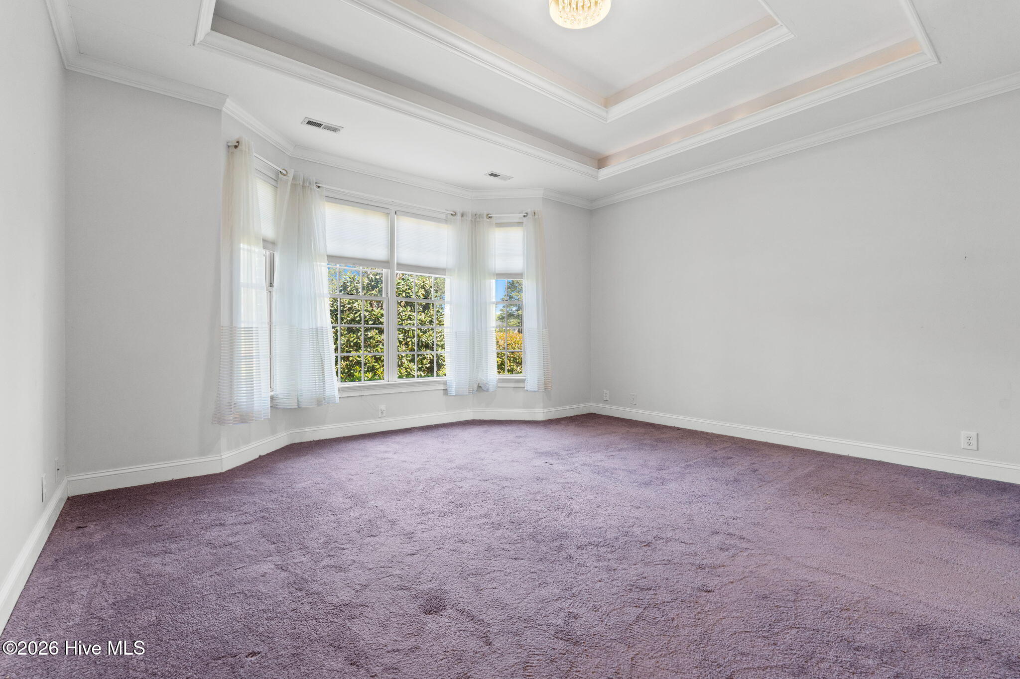 100569598 | Photo 26