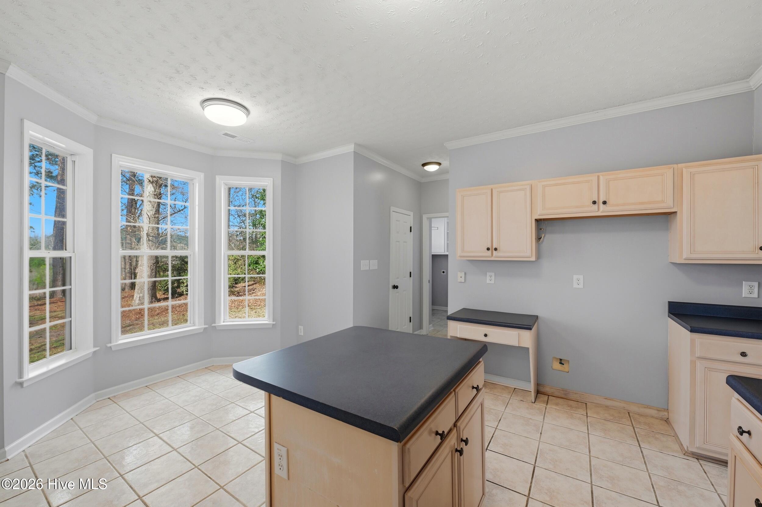 100559953 | Photo 16