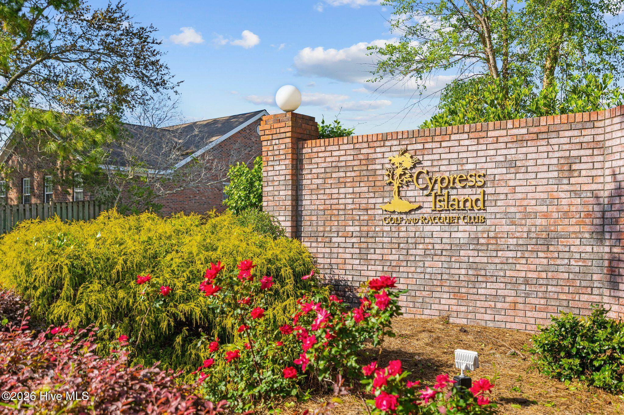 100552343 | Photo 41