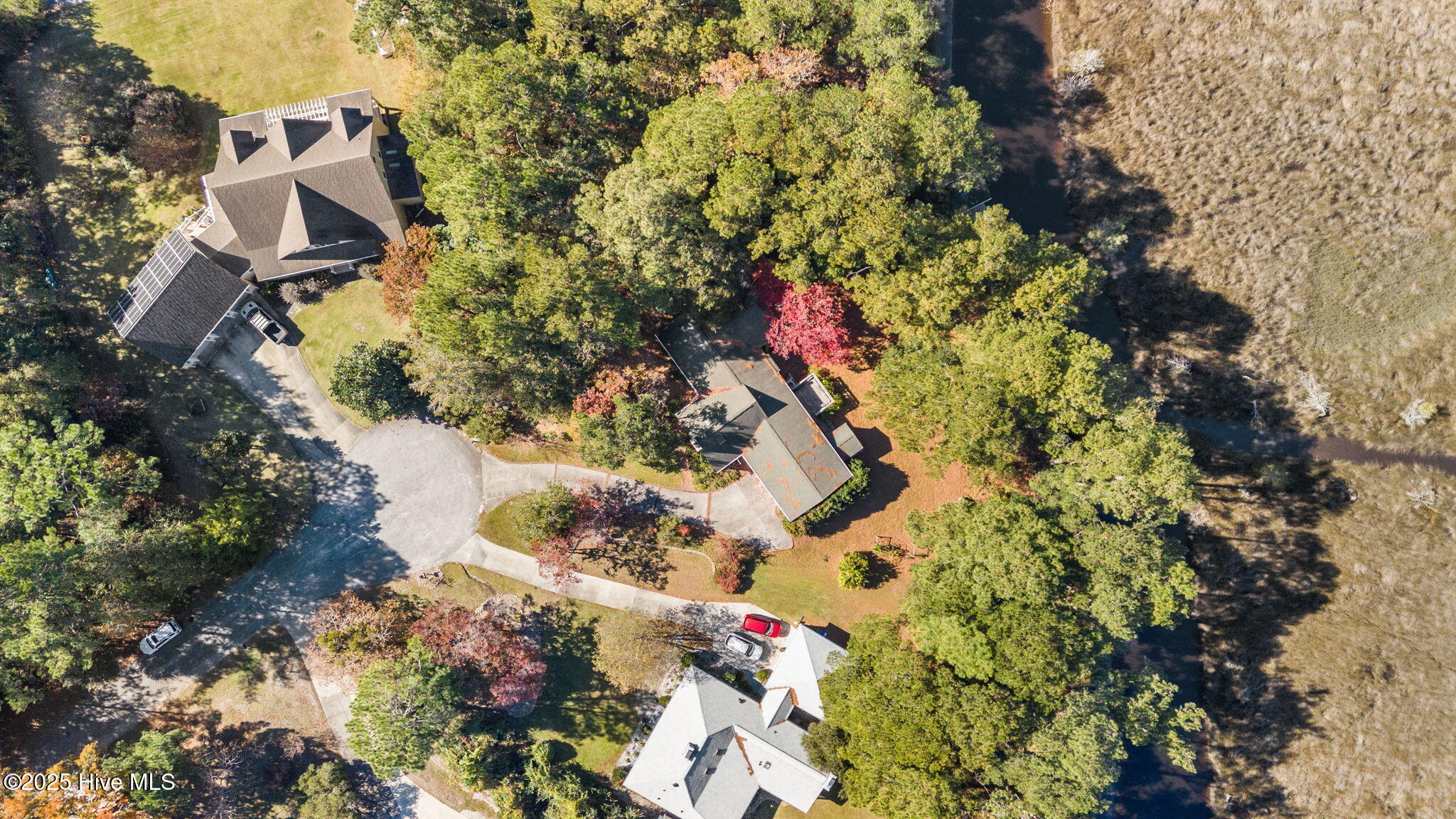 100541543 | Photo 31