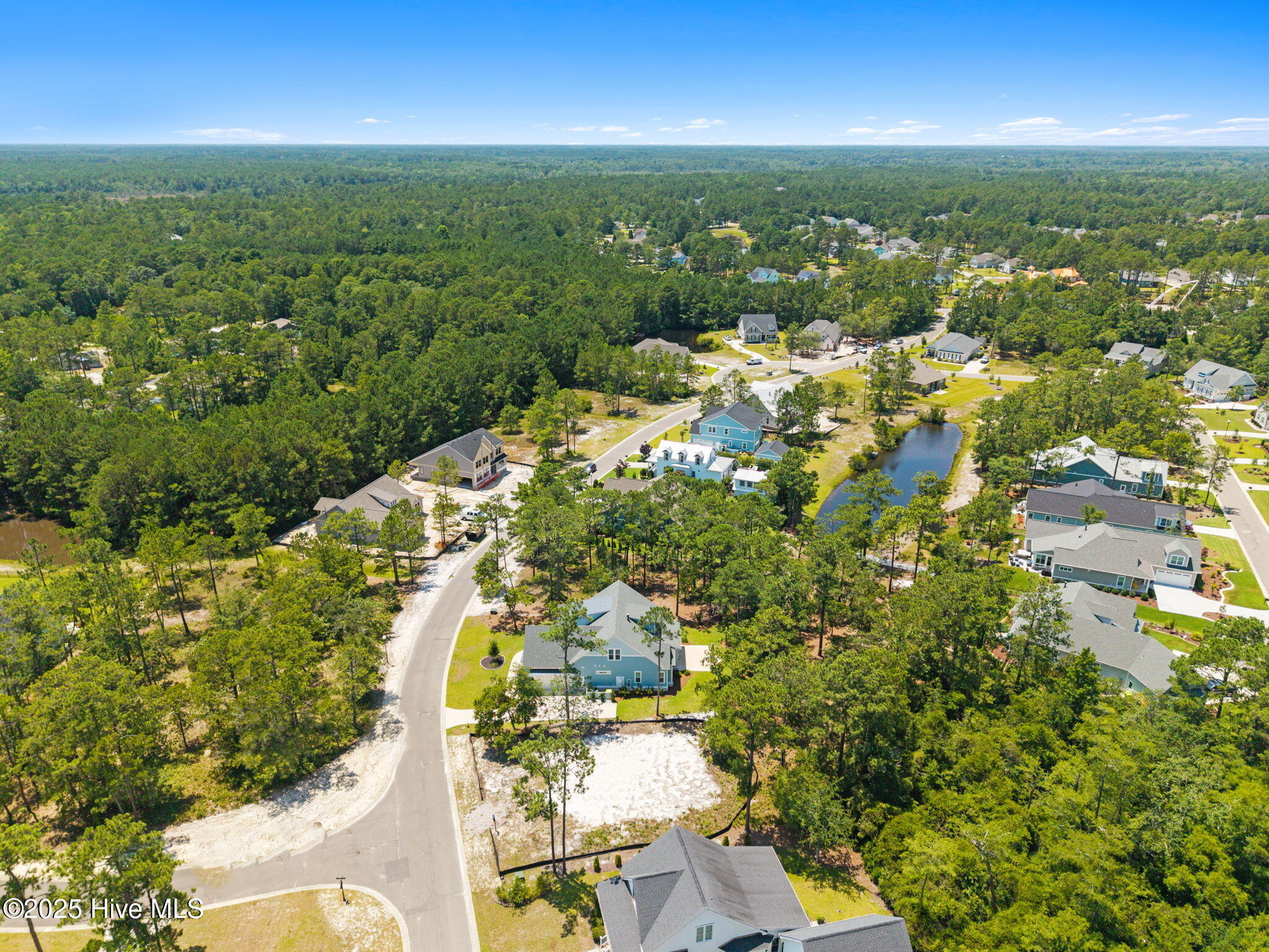 100516887 | Photo 94