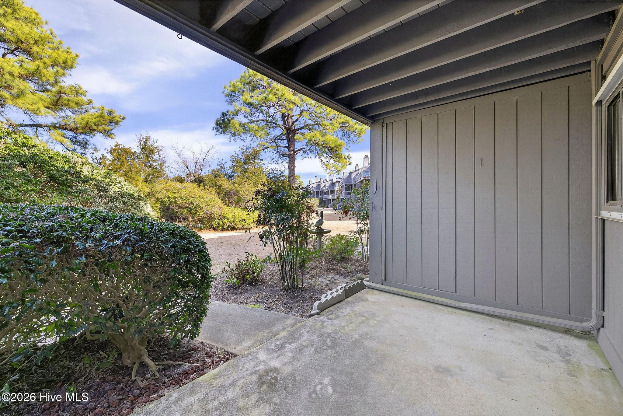 100555356 | Photo 37