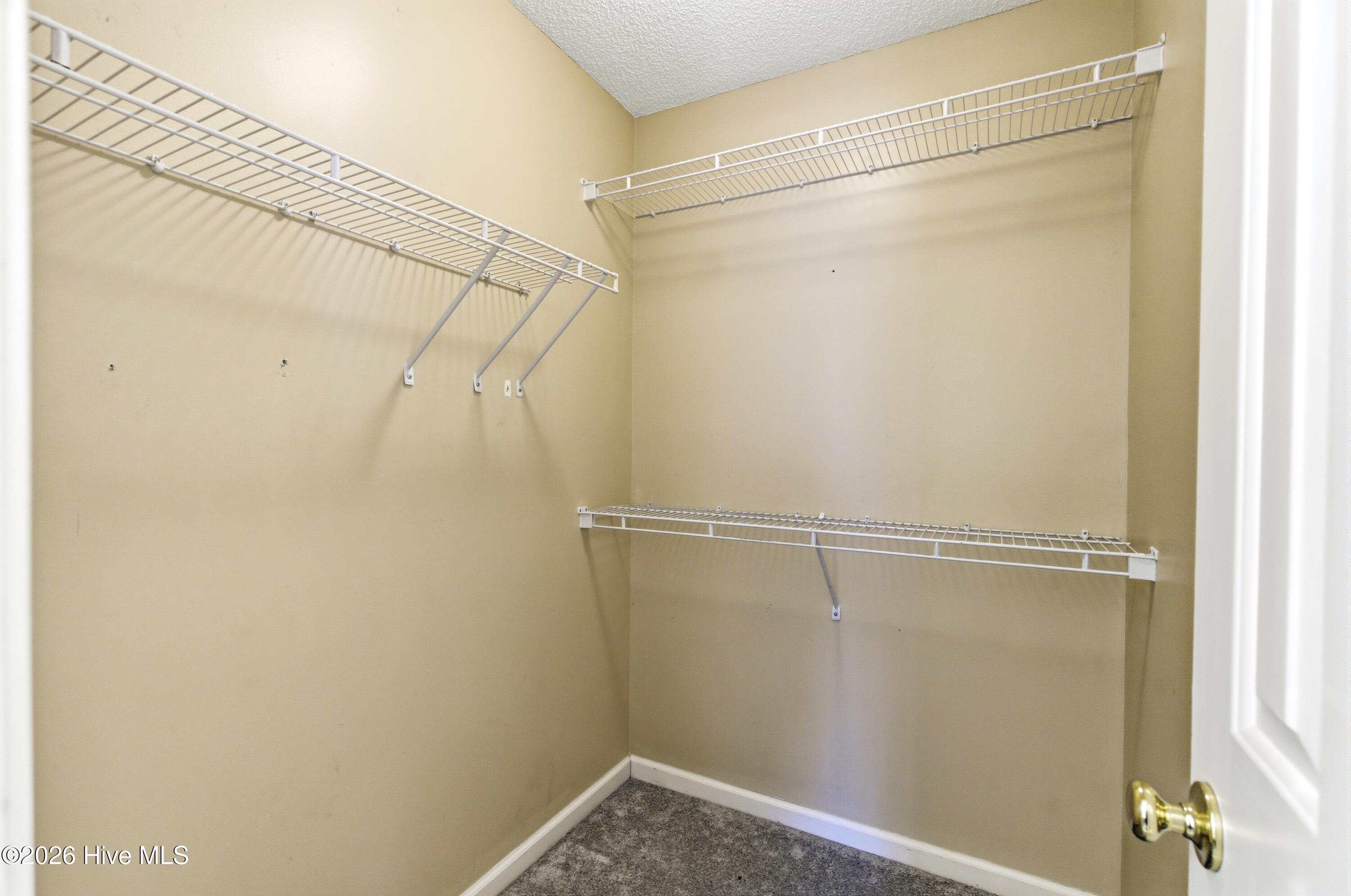 100560348 | Photo 21