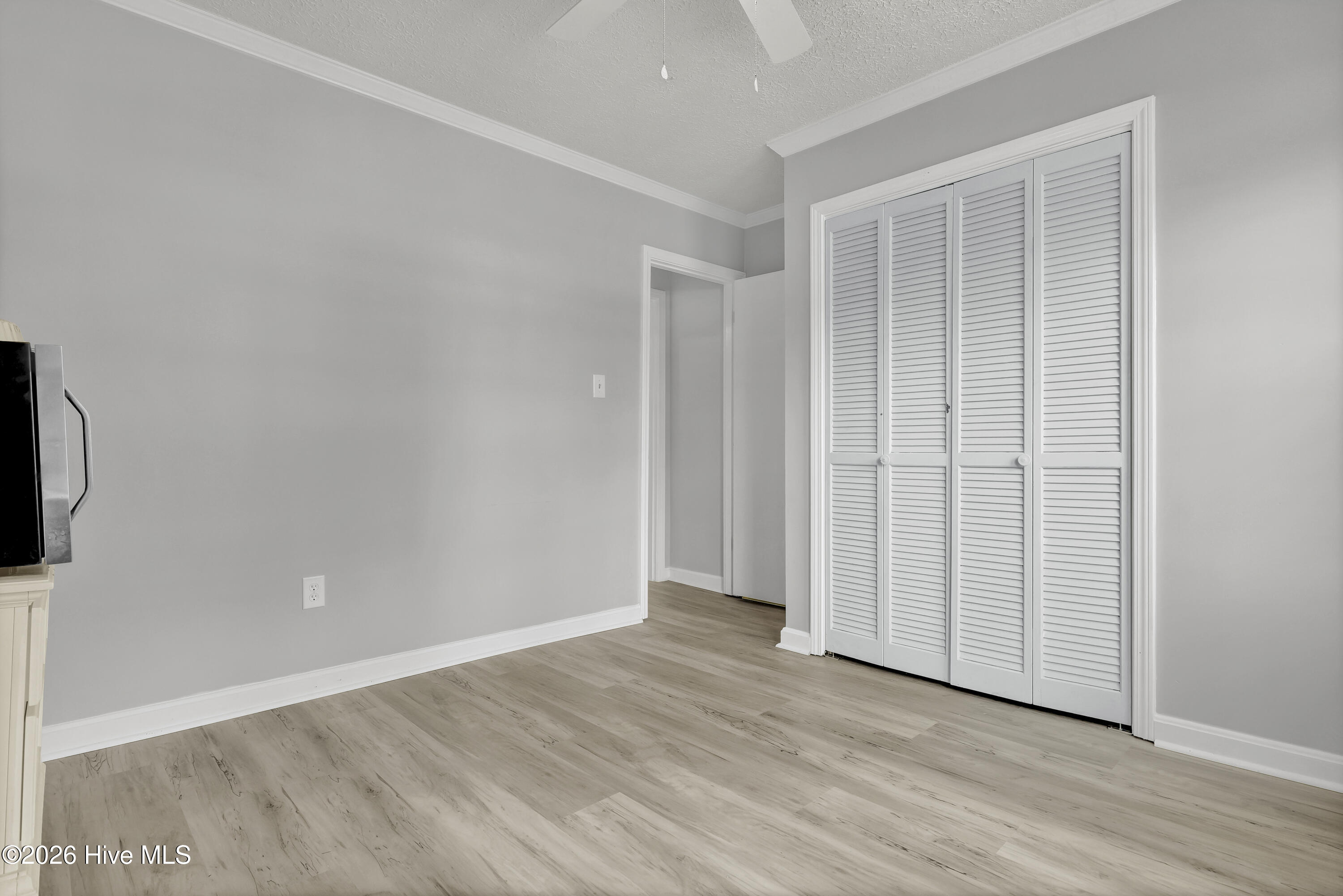 100564655 | Photo 19