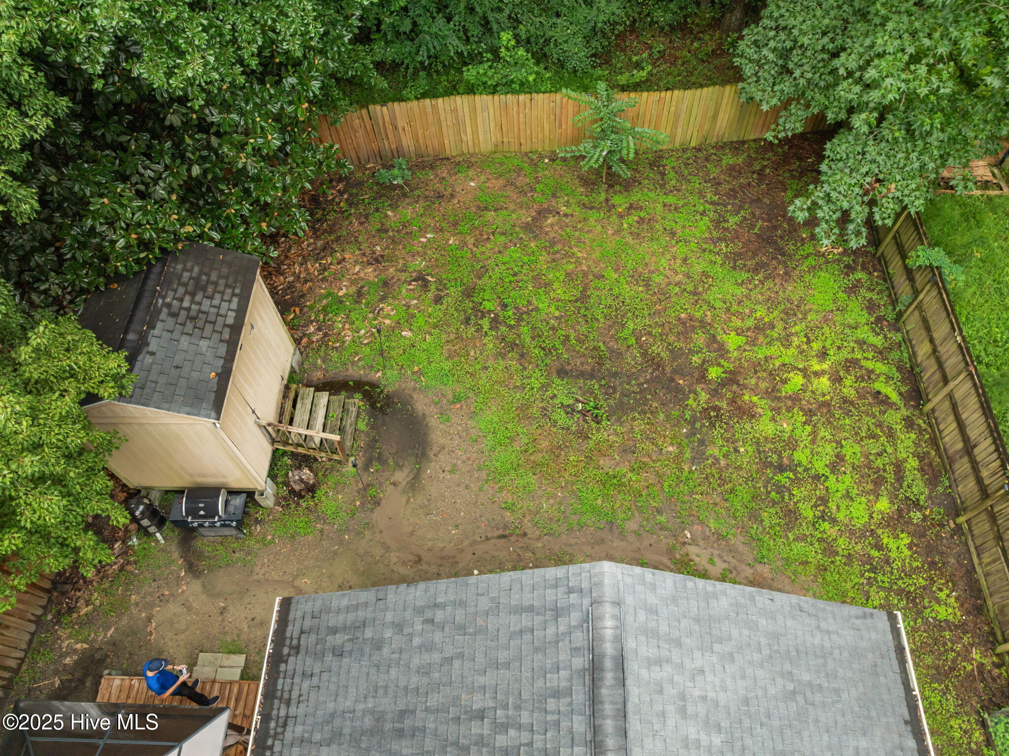 100560196 | Photo 35