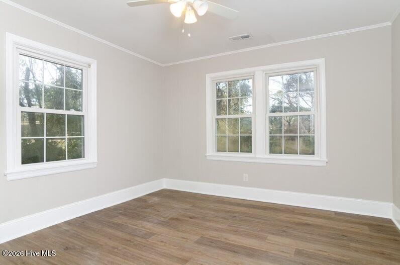 100556433 | Photo 13