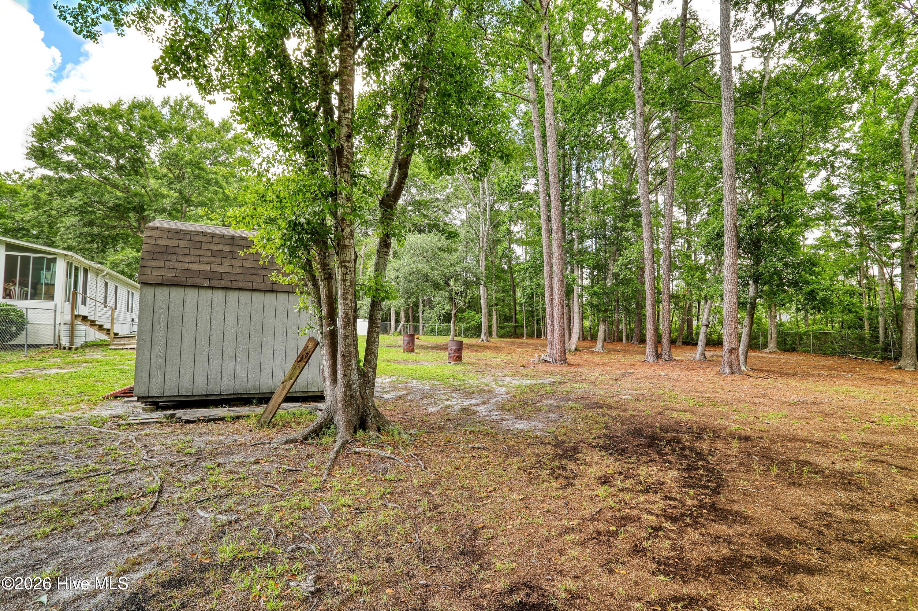 100568147 | Photo 39