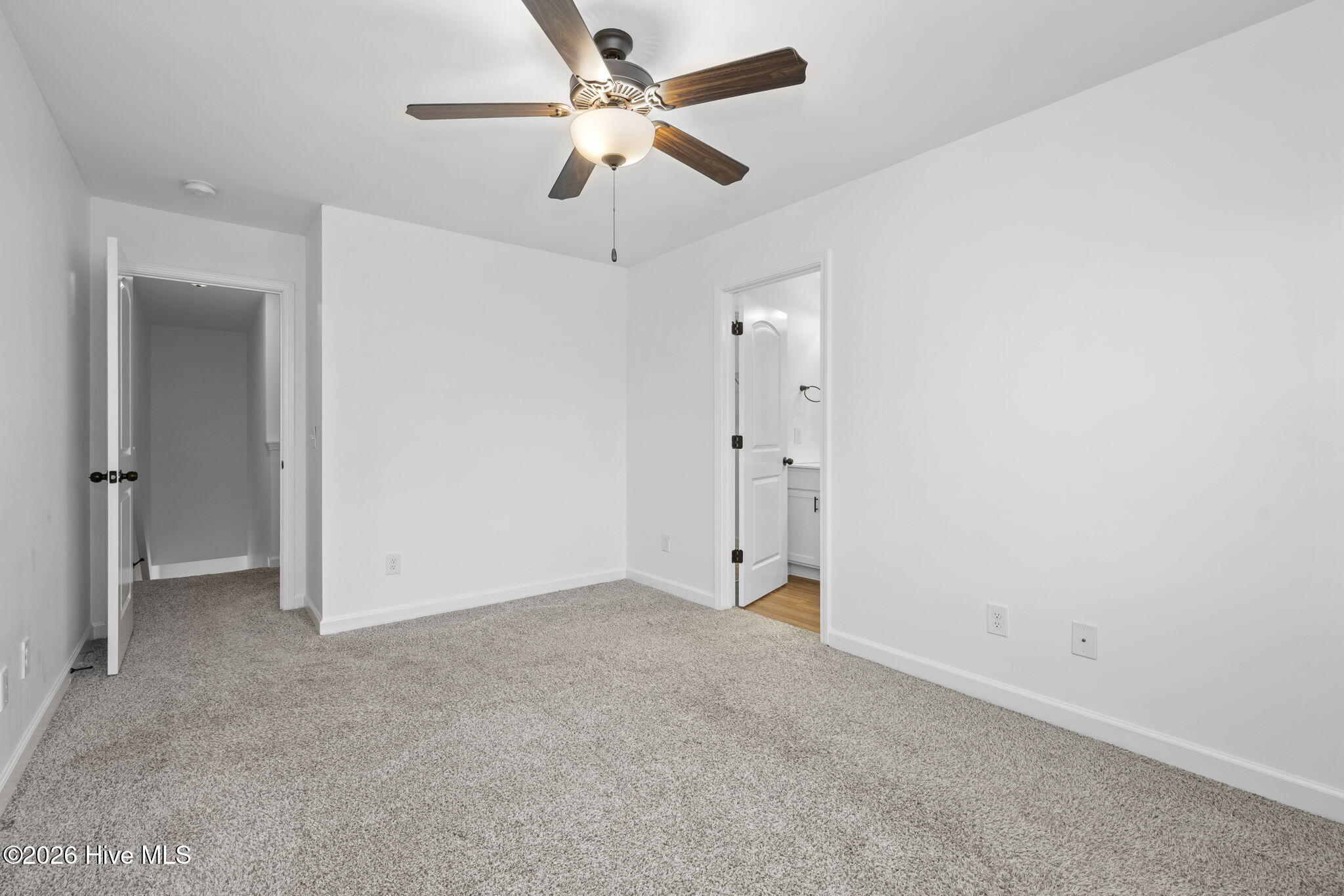 100547697 | Photo 31