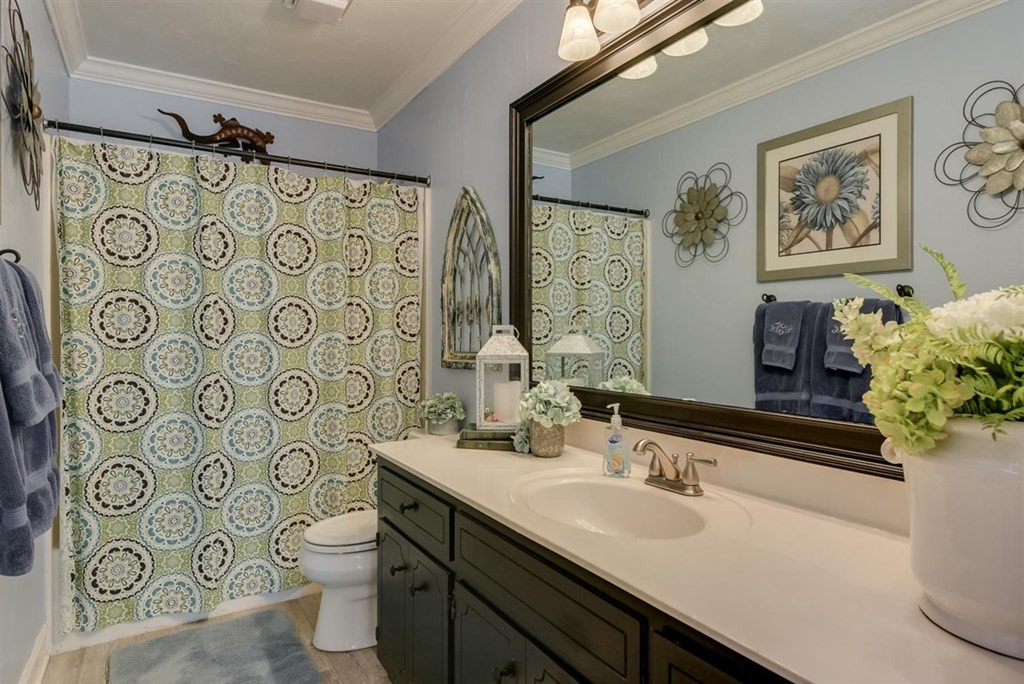 3297 Chamberlain Ferry Road, Lincolnton, GA 30817 Listing Photo  43