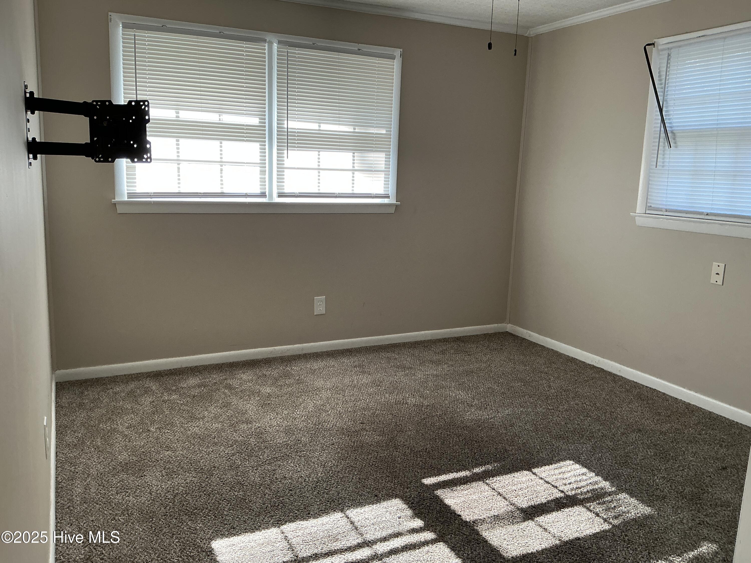 100537252 | Photo 21