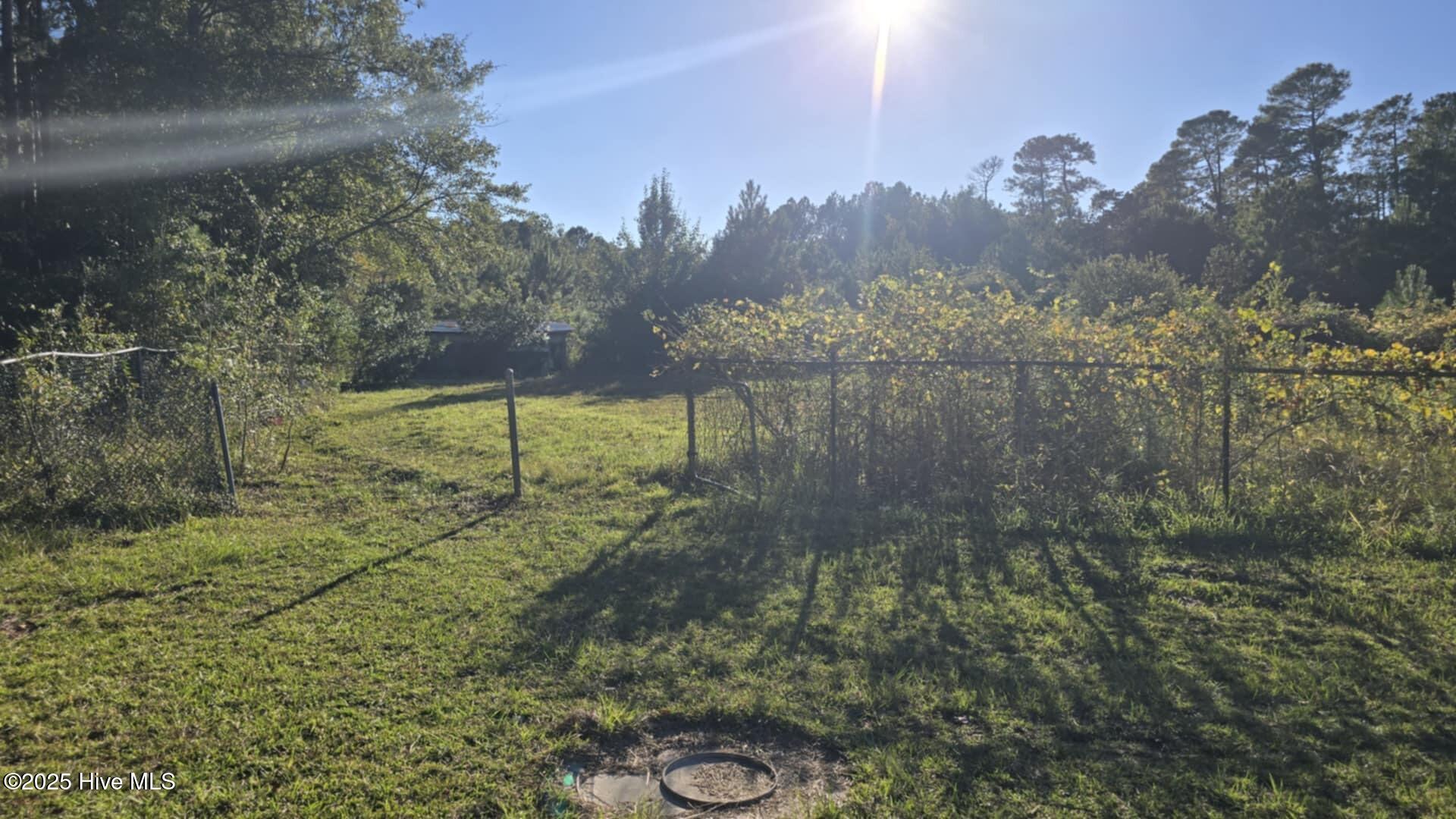 100538162 | Photo 12