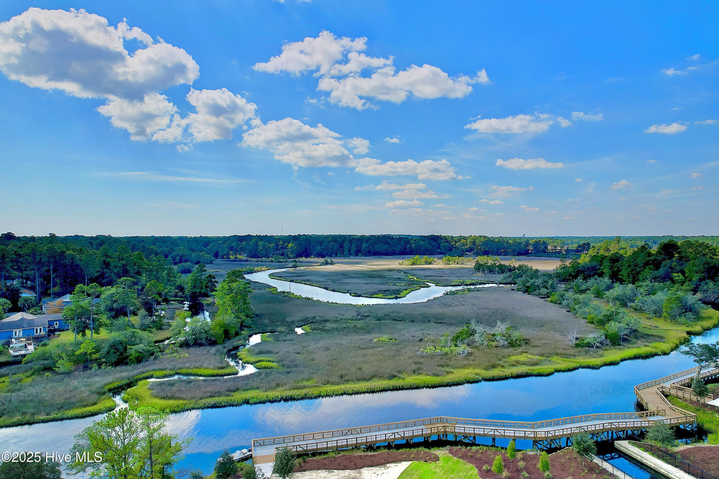 100499491 | Photo 10