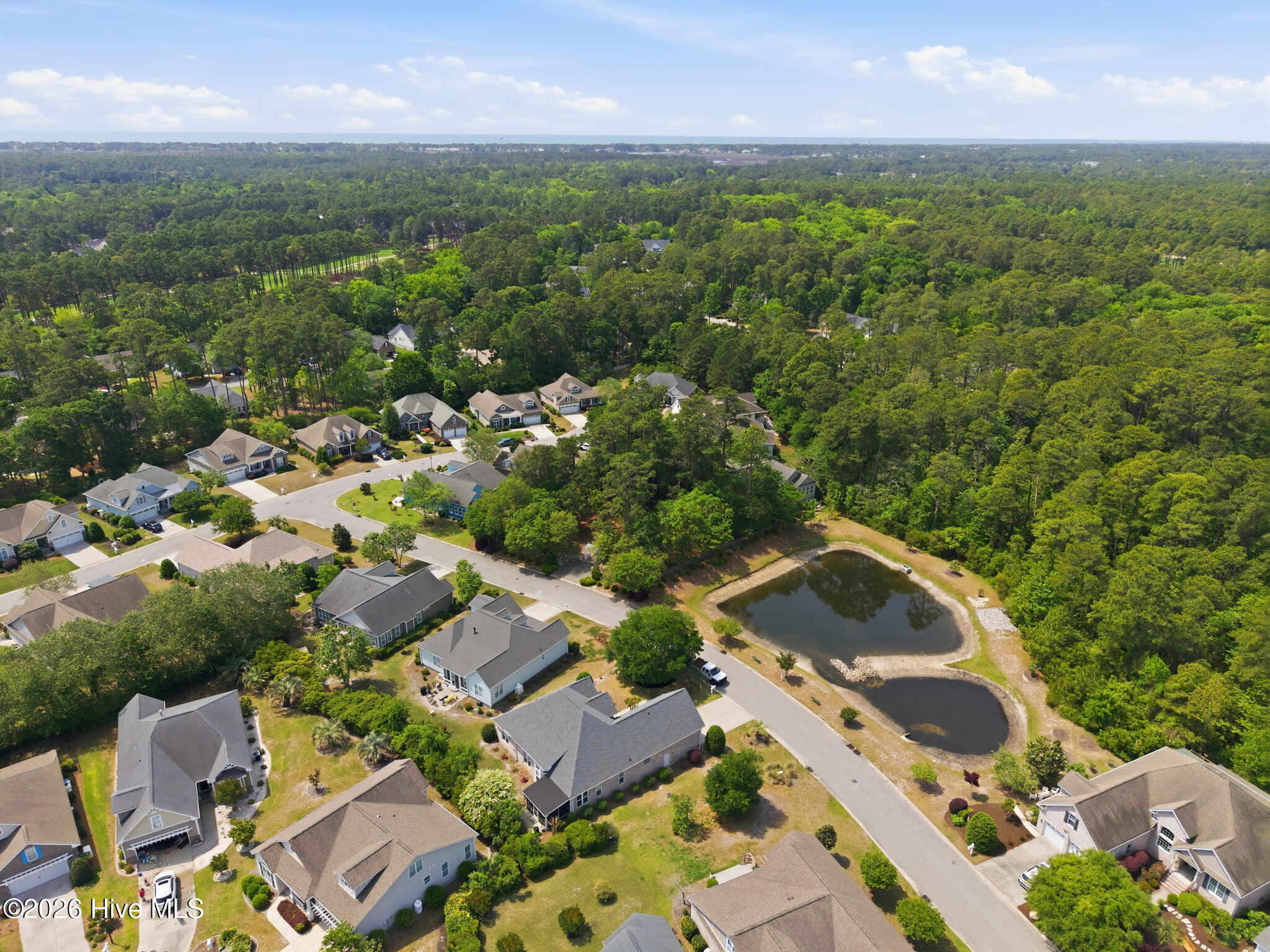 100569602 | Photo 55