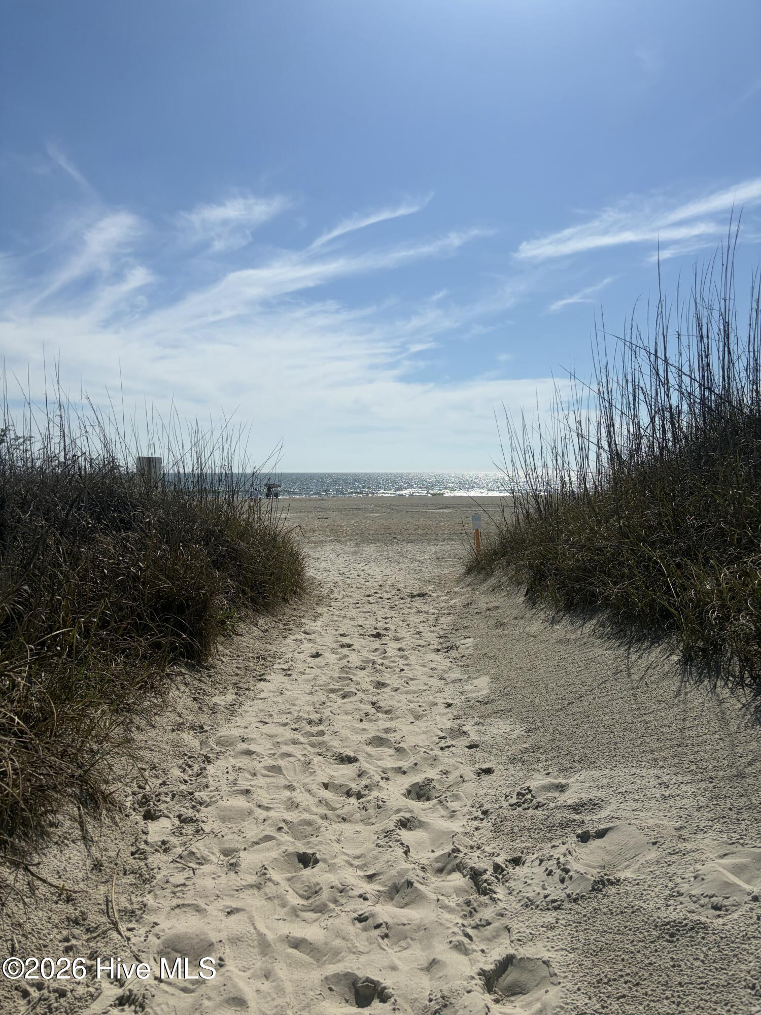 100569665 | Photo 26