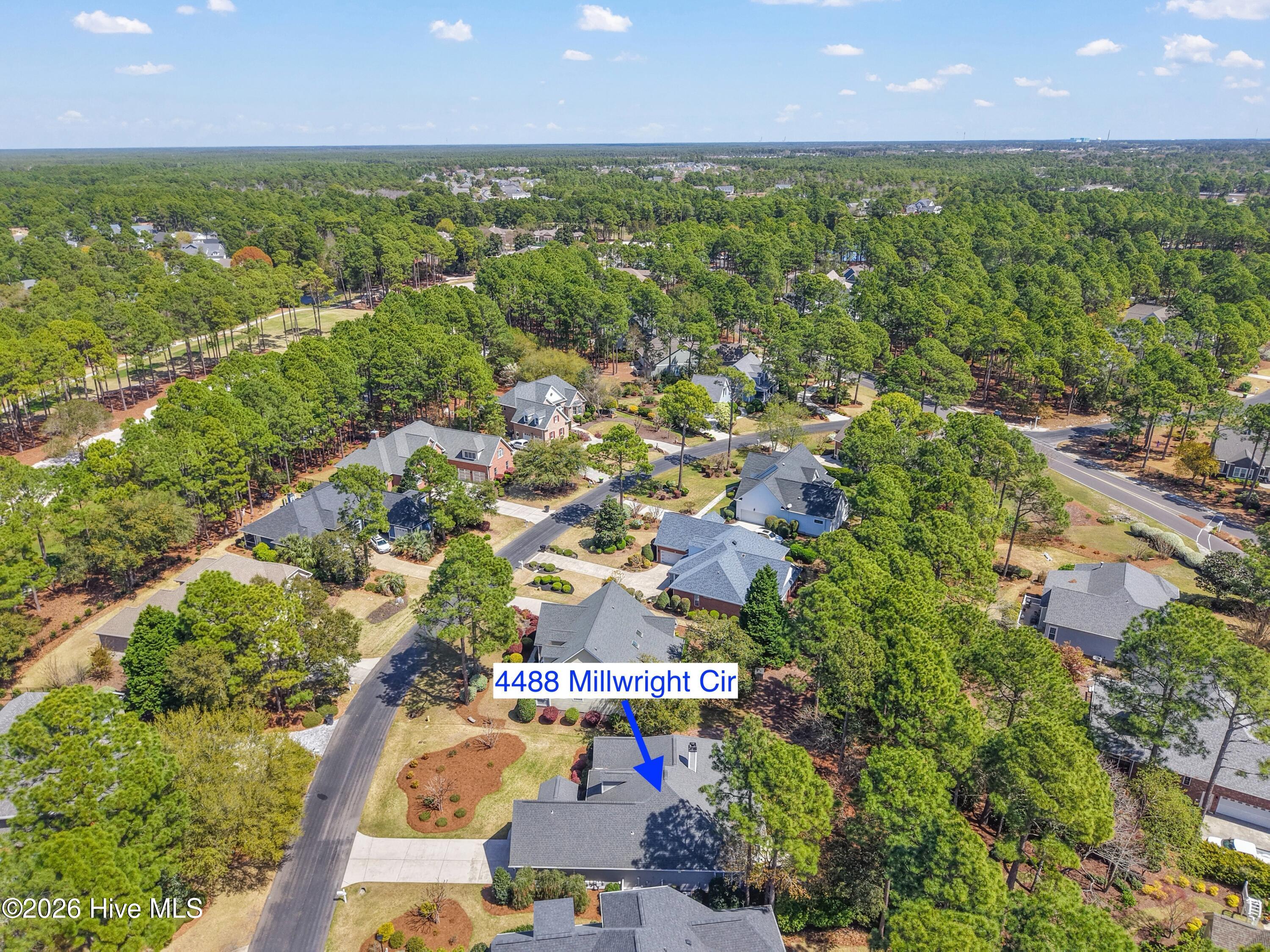 100563713 | Photo 47