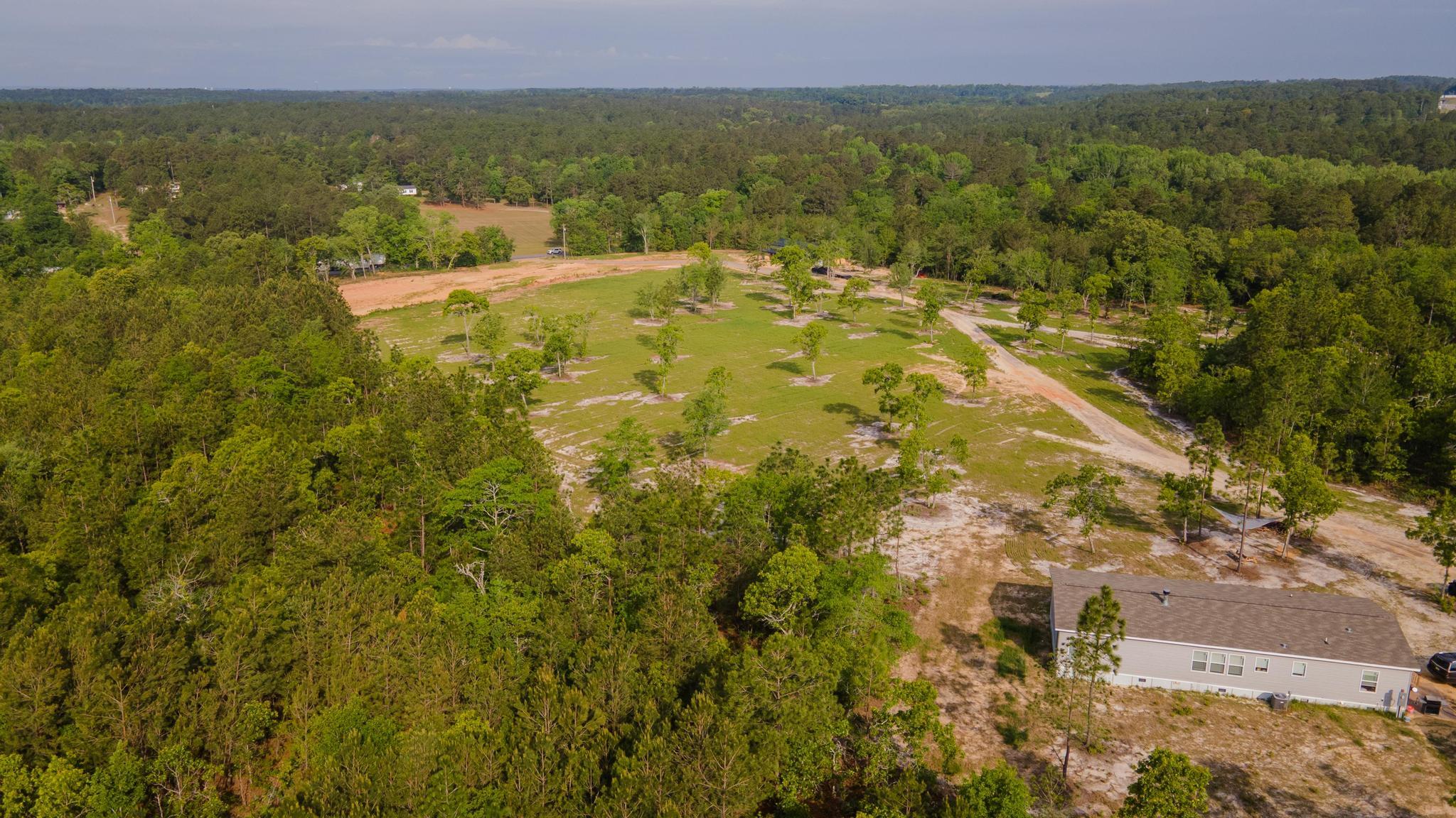 DJI_0368
