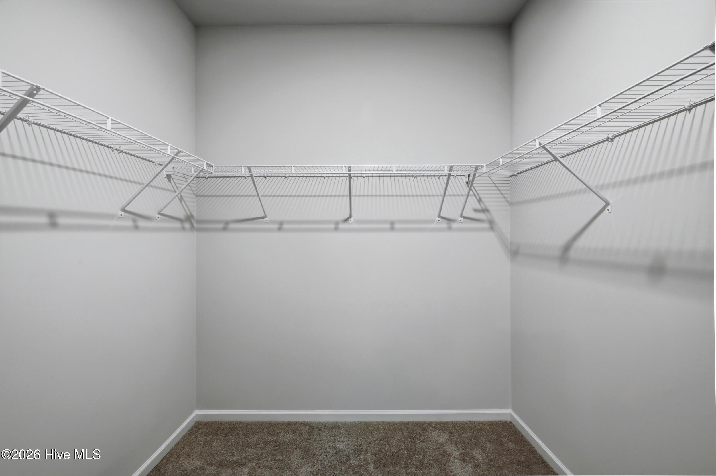 100563269 | Photo 18