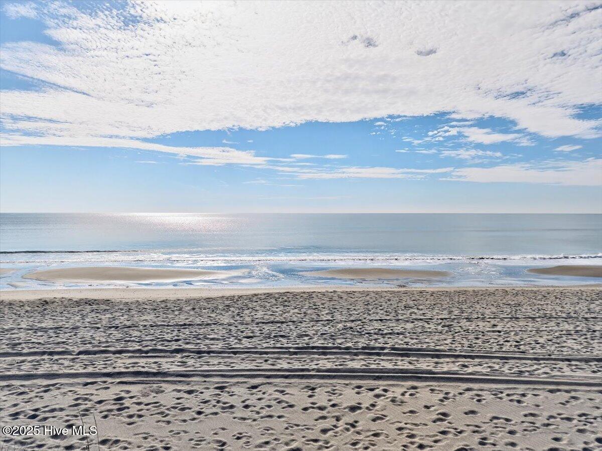 100531909 | Photo 41