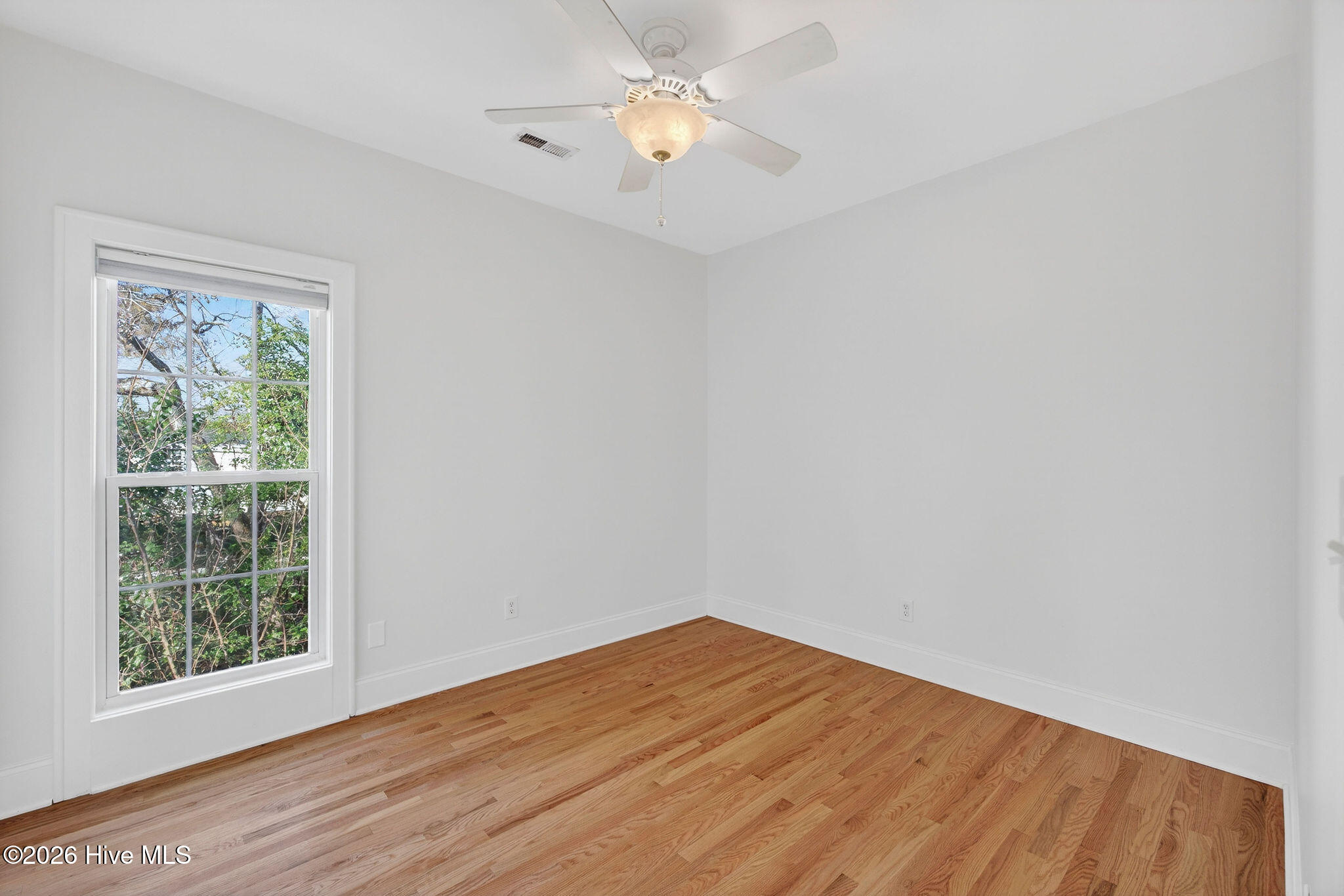 100551294 | Photo 16