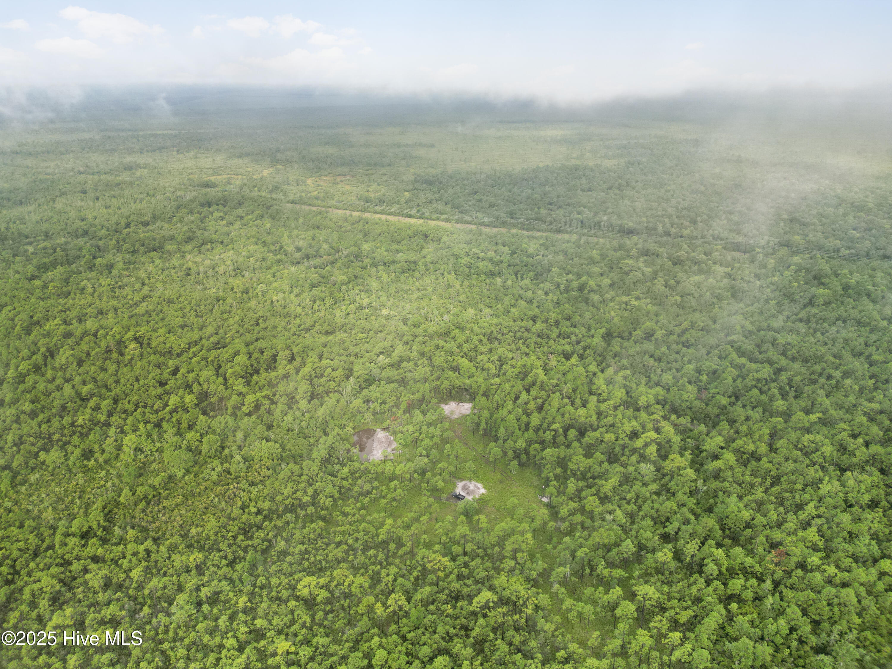 100525966 | Photo 16