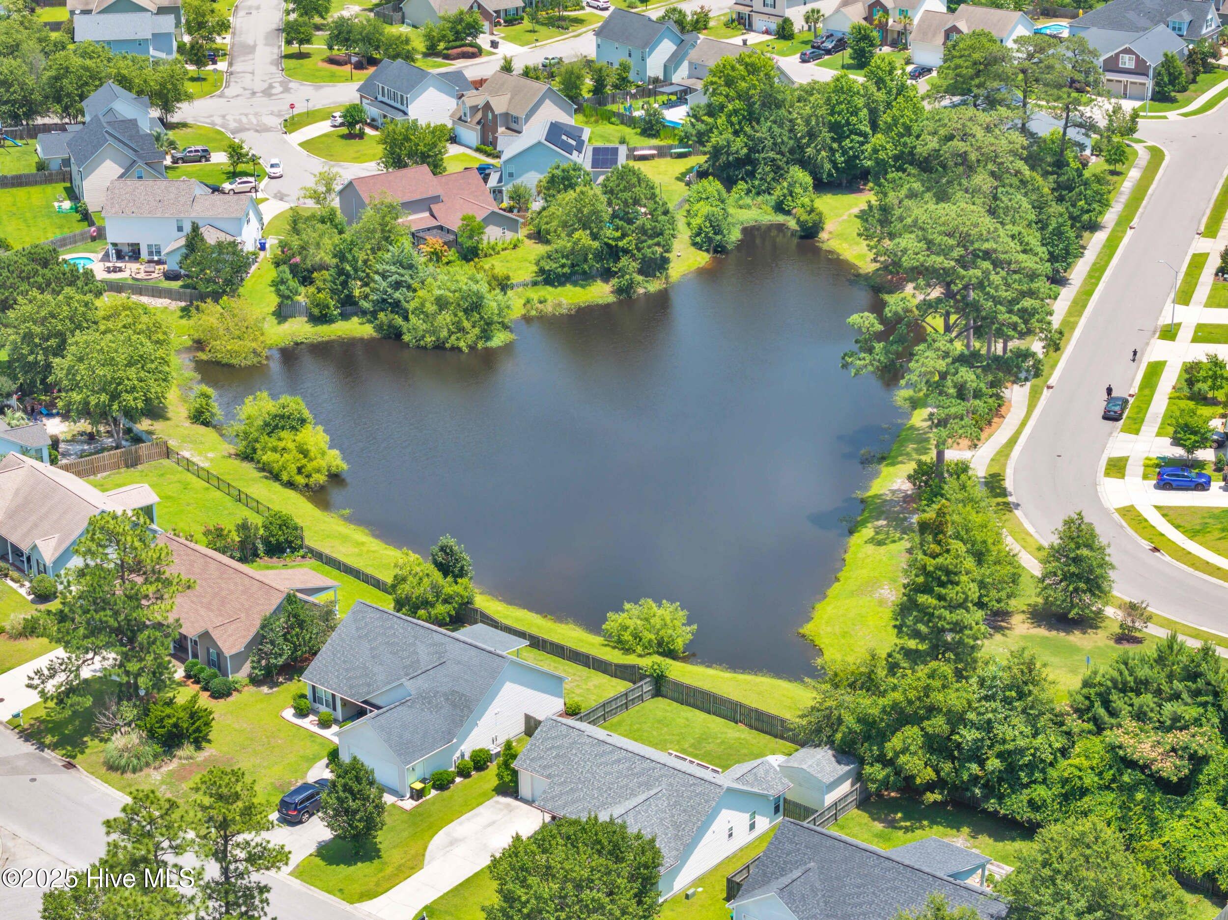 100532277 | Photo 50