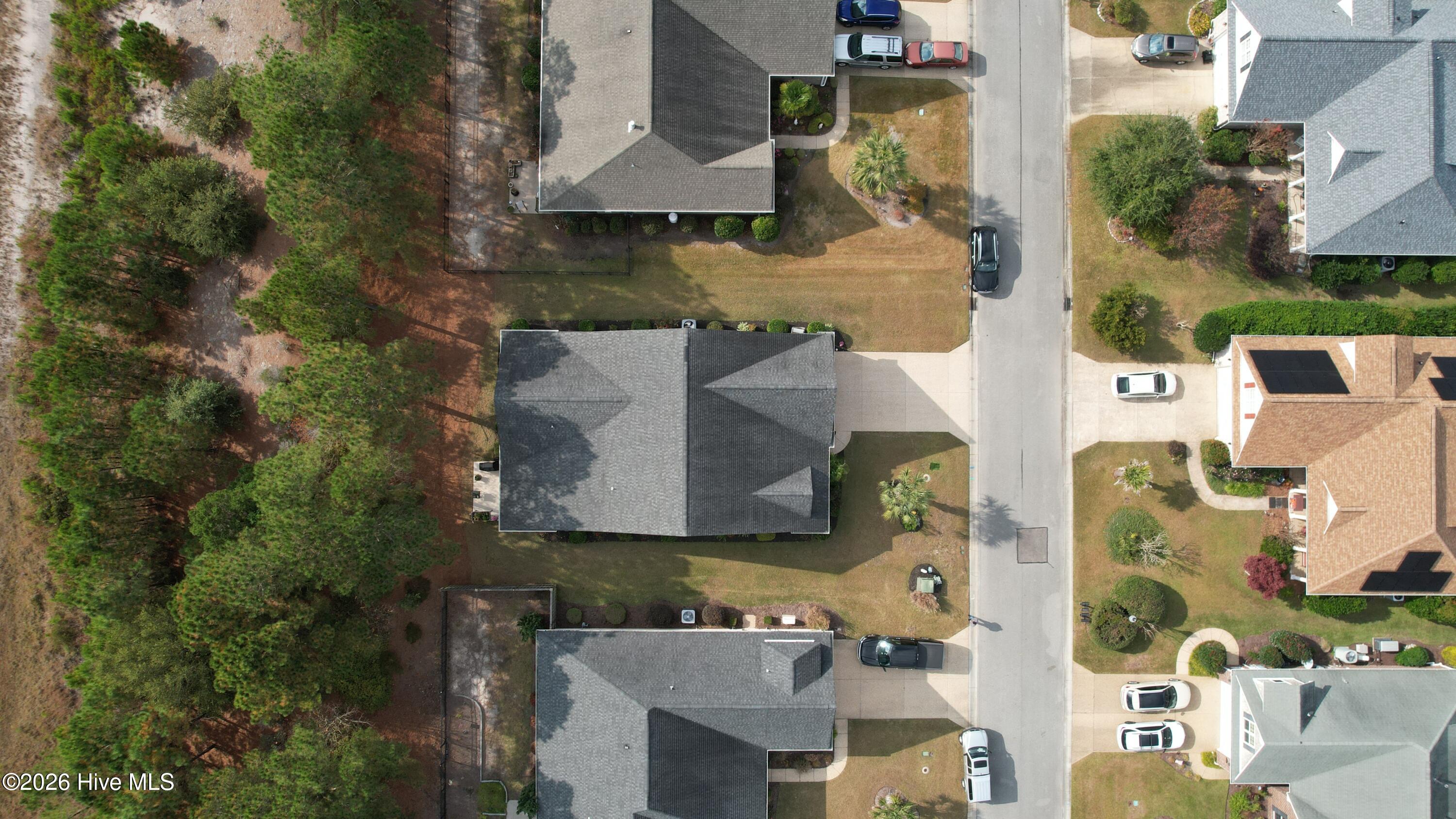 100554045 | Photo 39