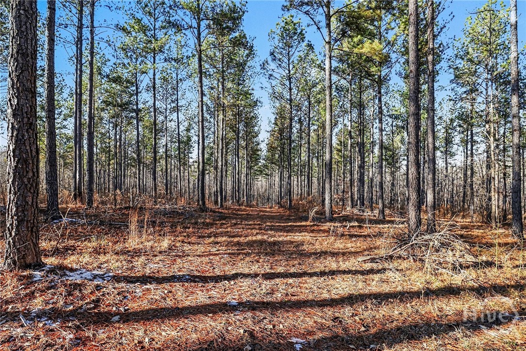 2285 Cherokee Road, Comer, GA, 30629