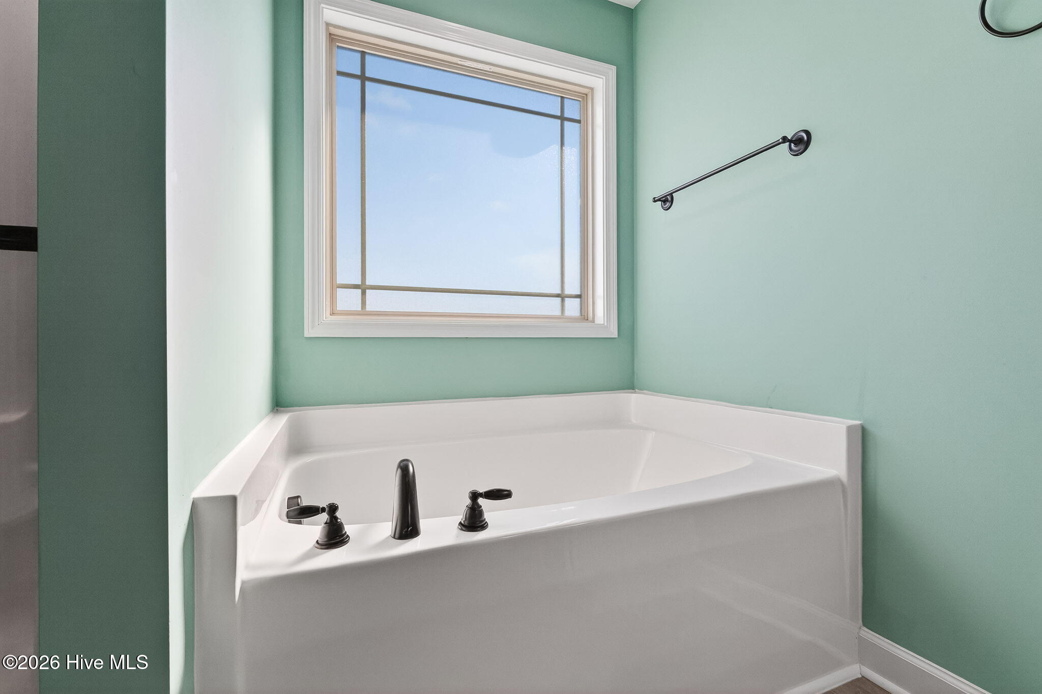 423 Planters Ridge Drive, Pikeville, NC, 27863