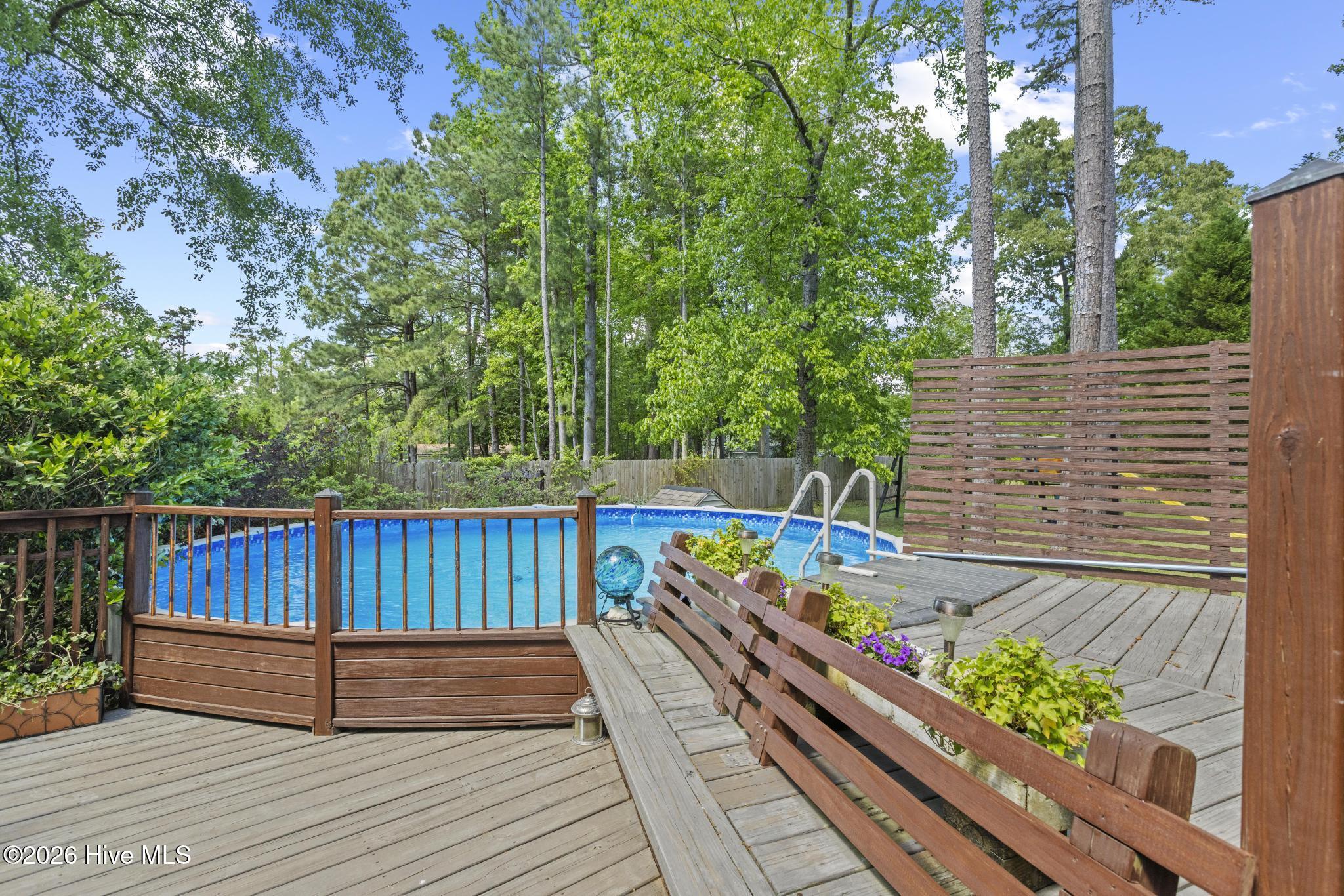 100569223 | Photo 51