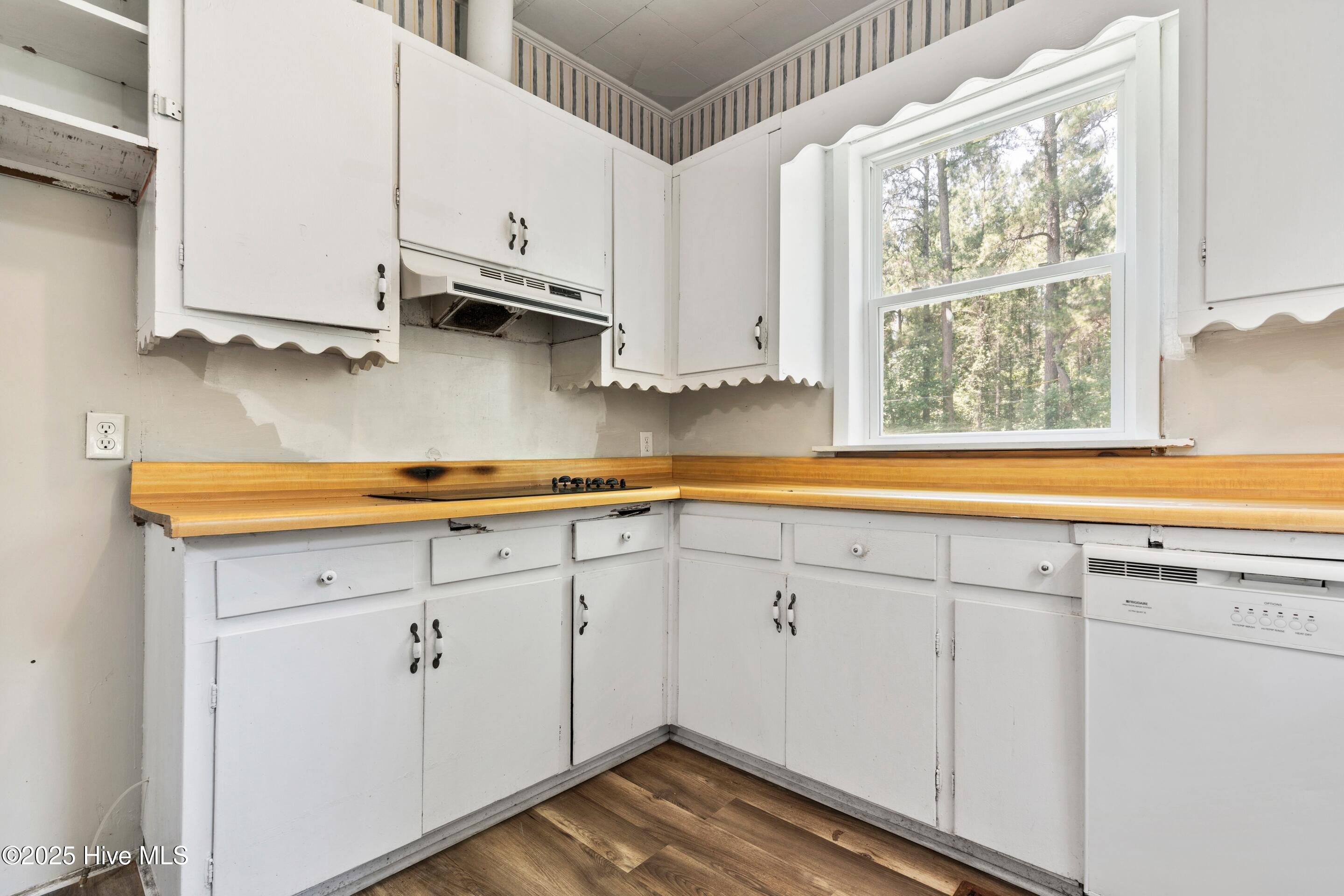 100513299 | Photo 21