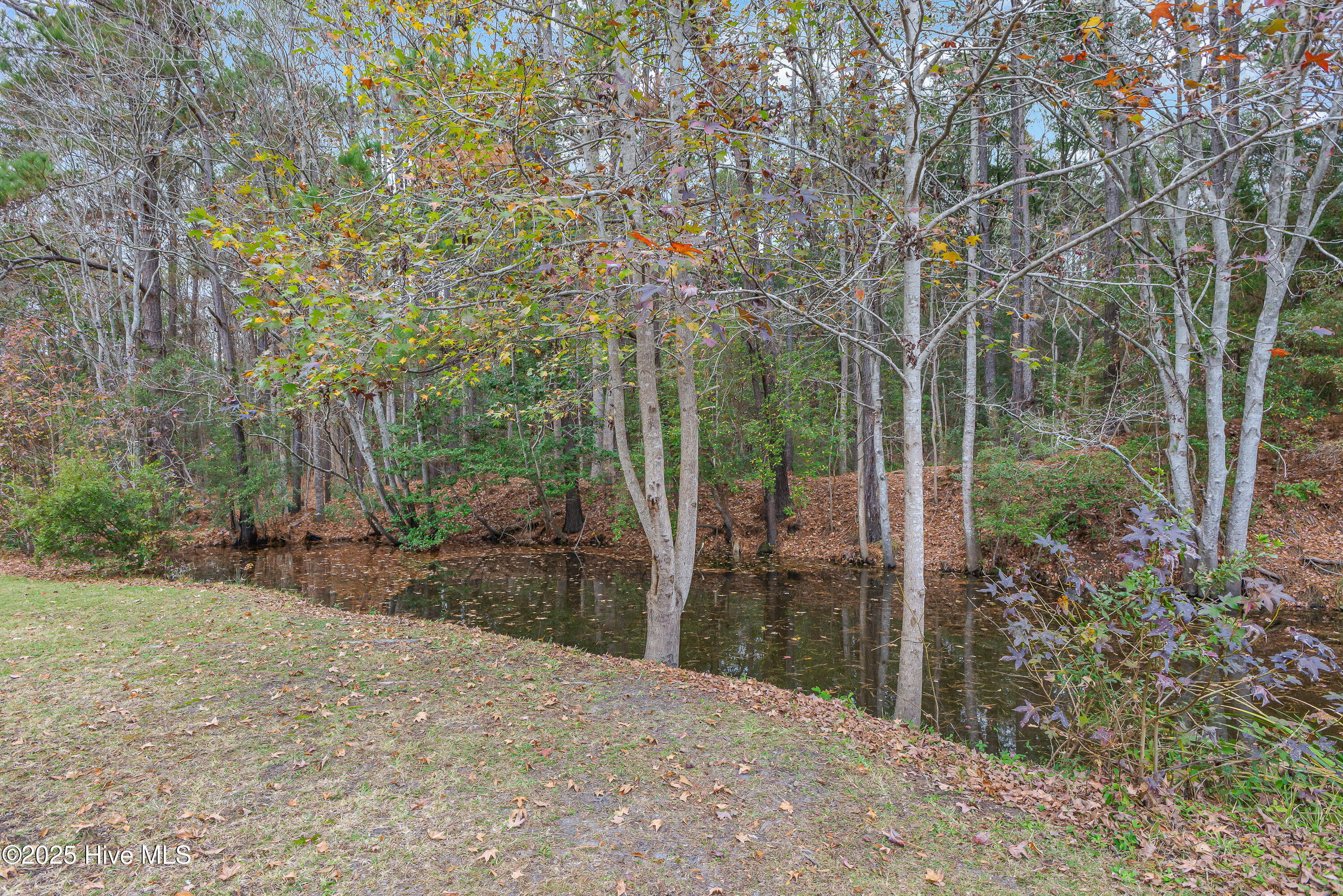 100543830 | Photo 36