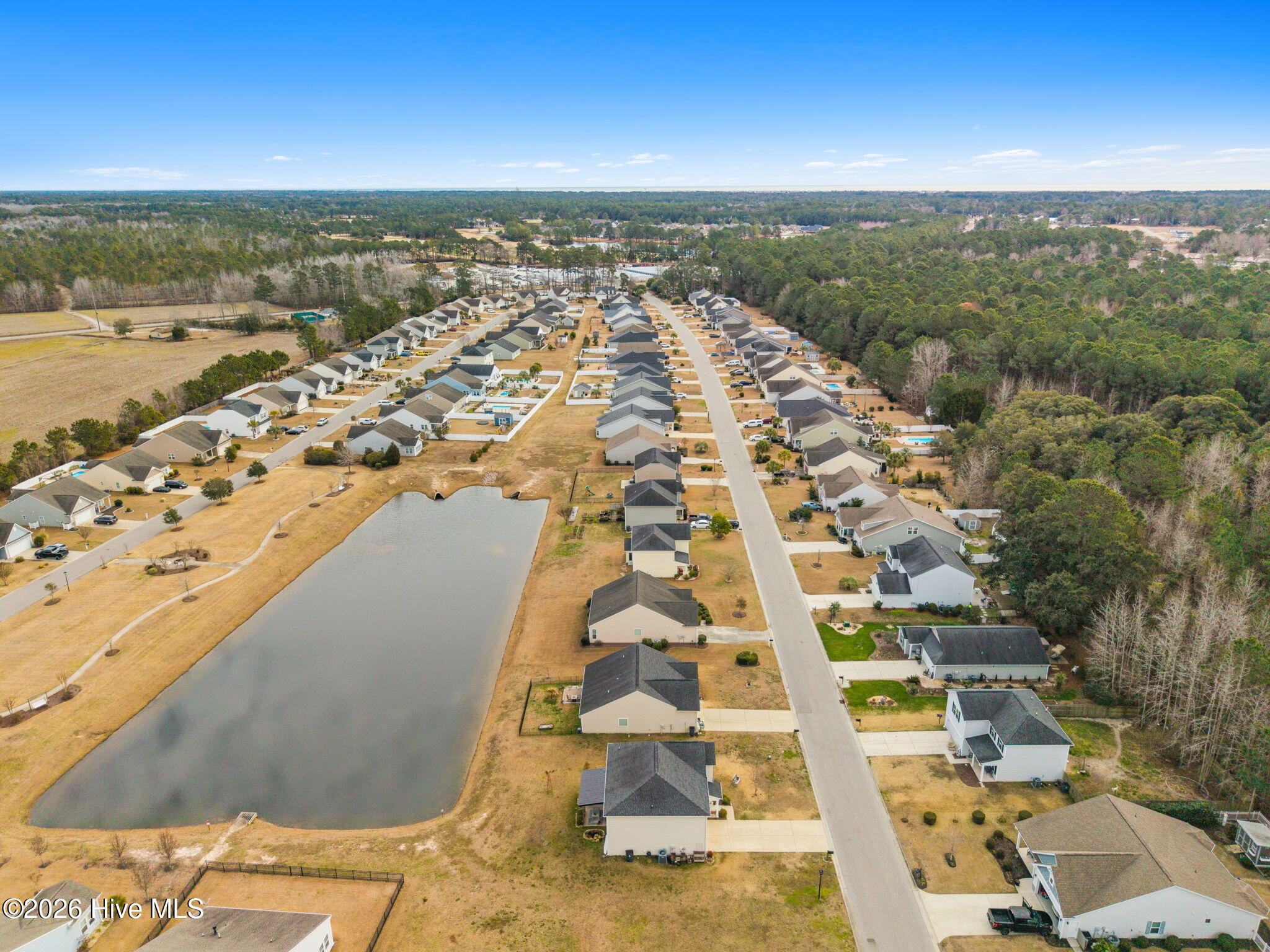 100553647 | Photo 43