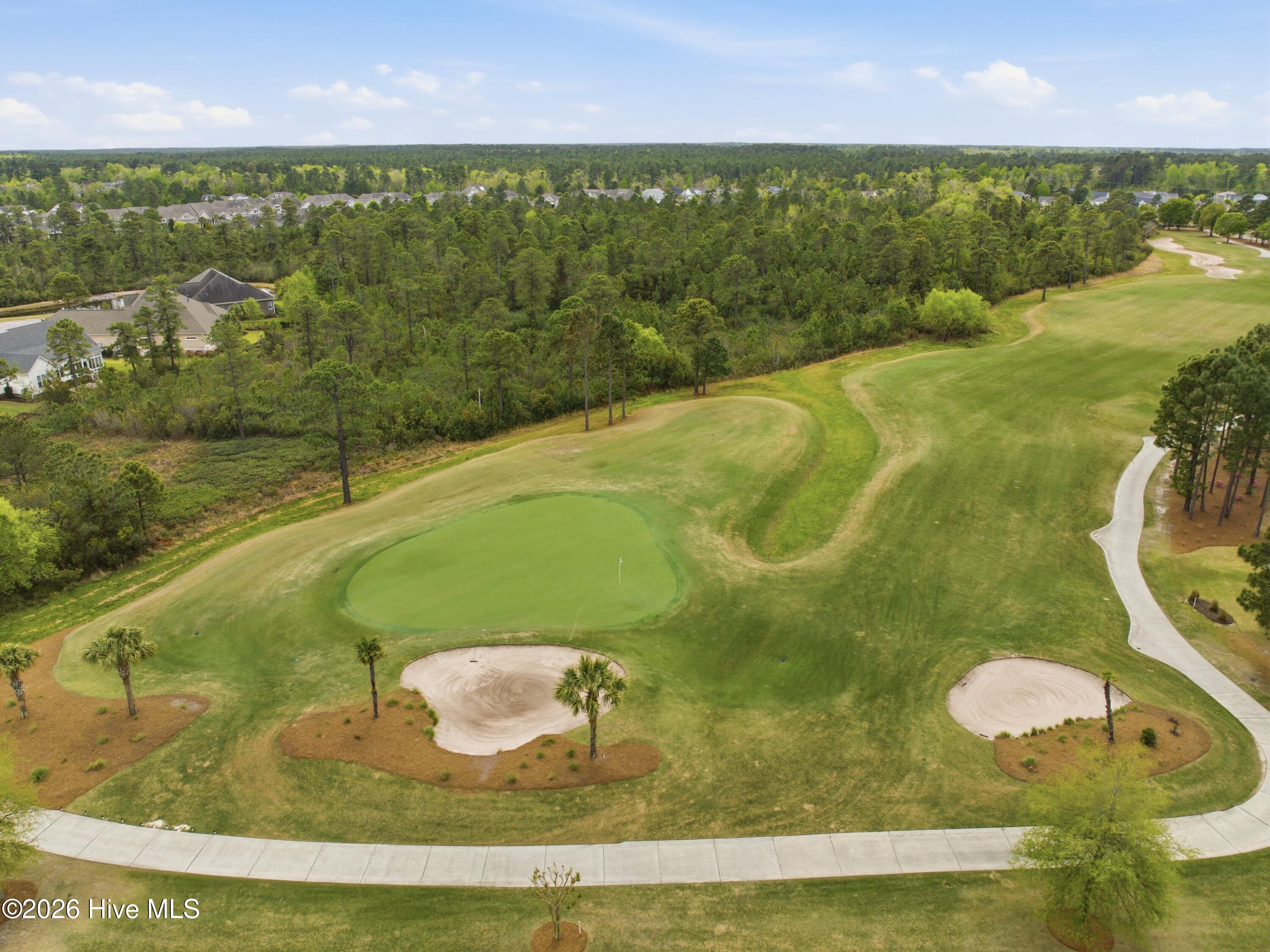 100565162 | Photo 63